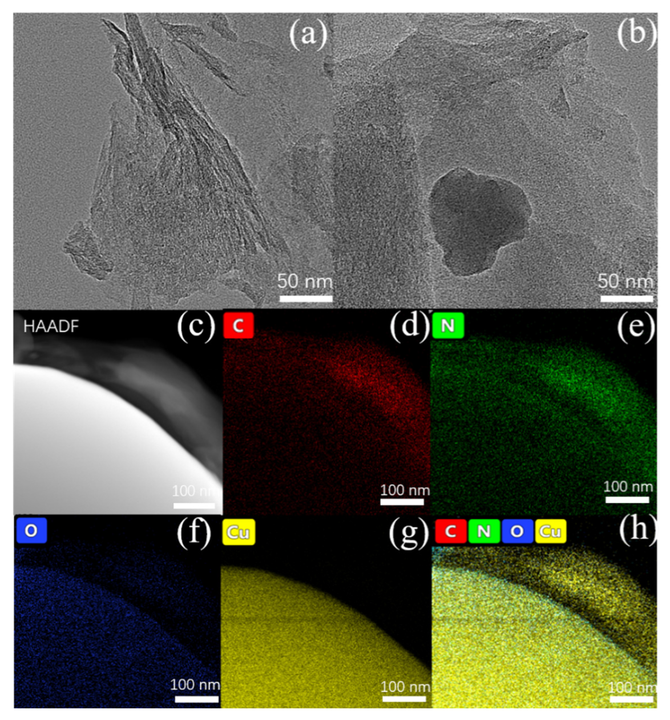 Molecules 26 07537 g002 550