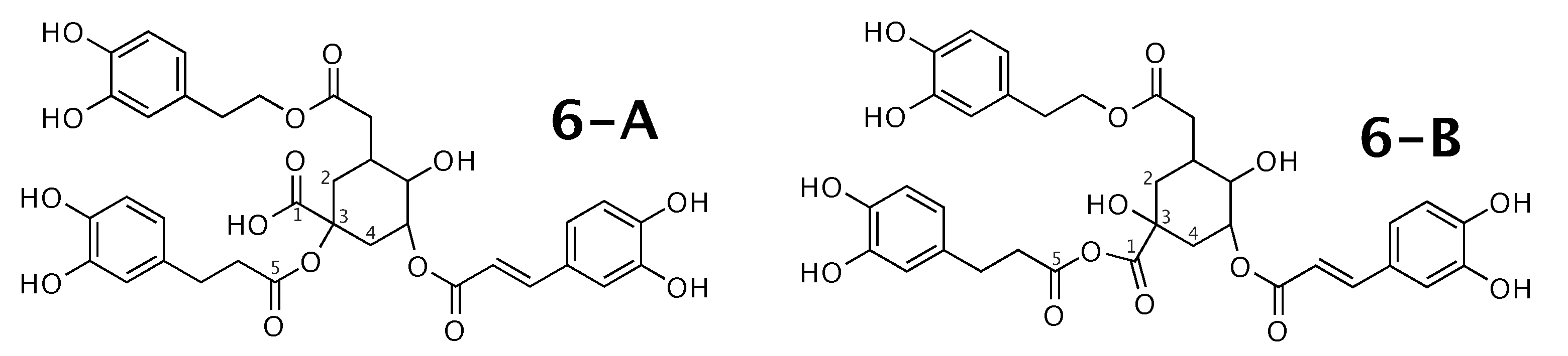 Molecules 26 07543 g006 Molecules 26 07543 g006