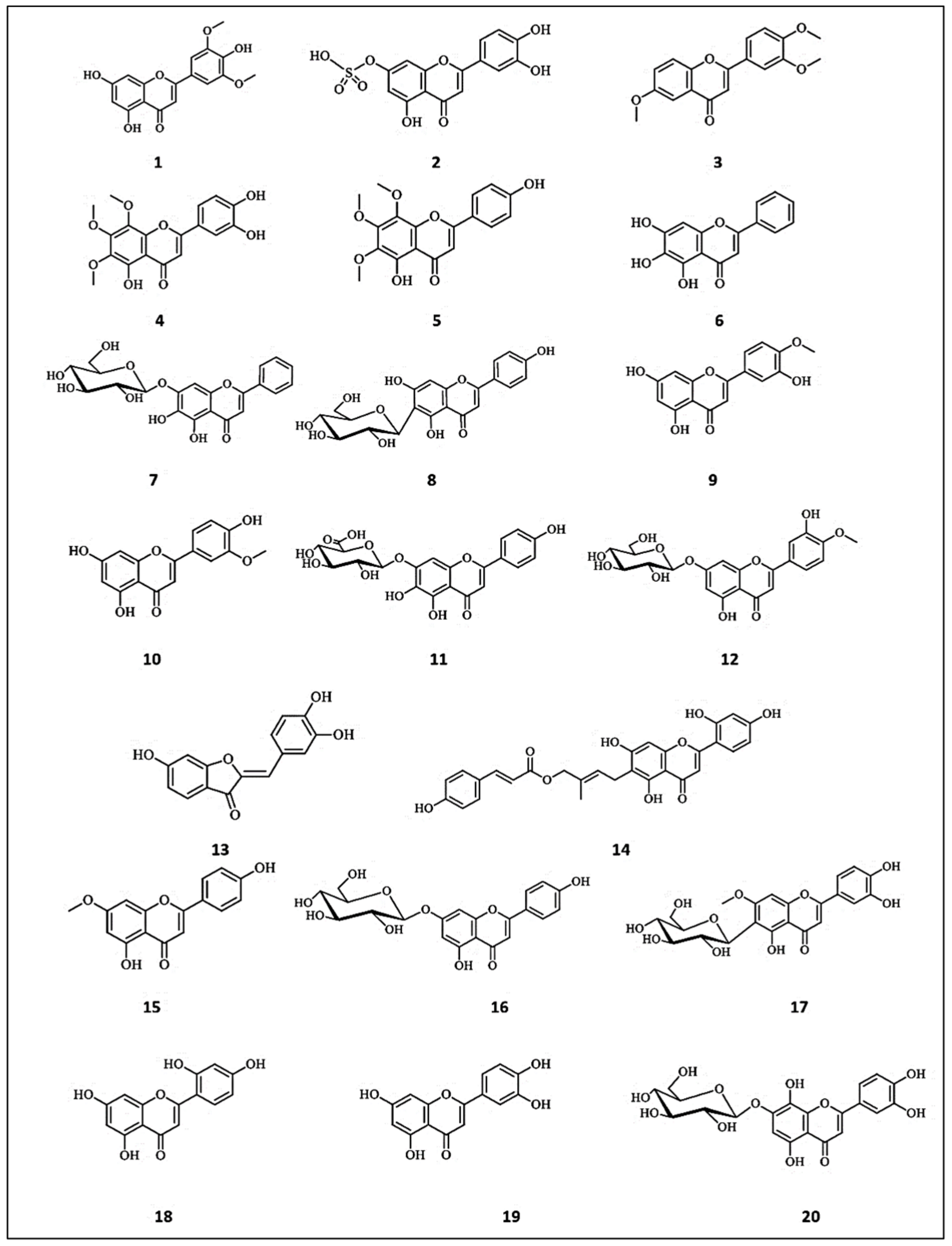 Molecules 26 07546 g002