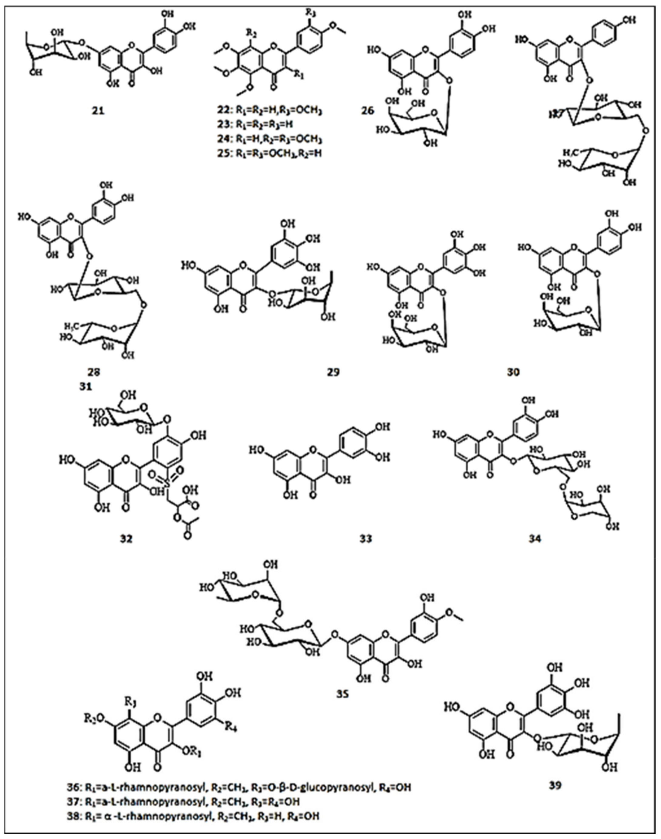 Molecules 26 07546 g003
