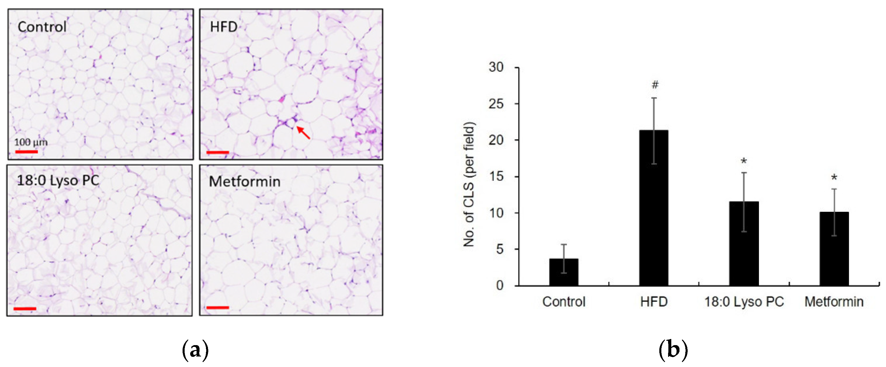 Molecules 26 07547 g006