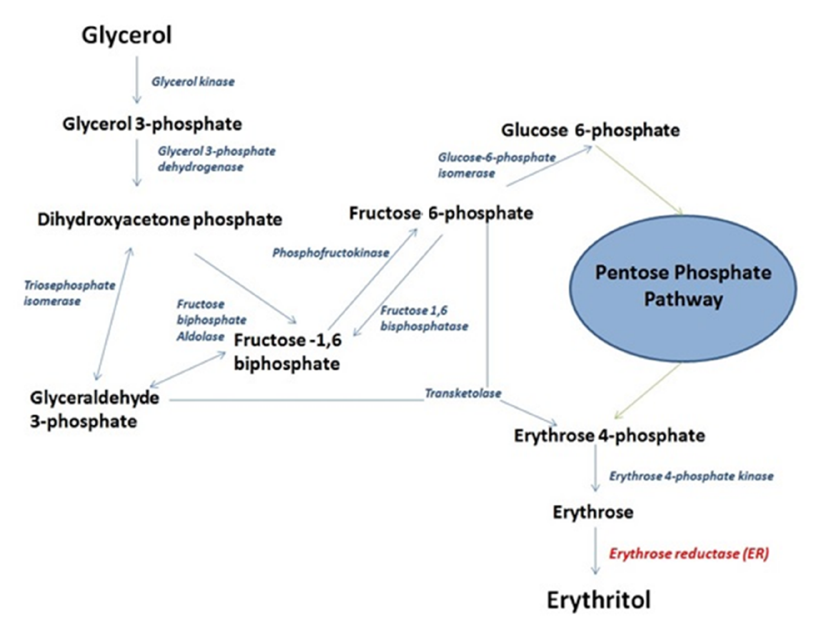 Molecules 26 07549 g001 550