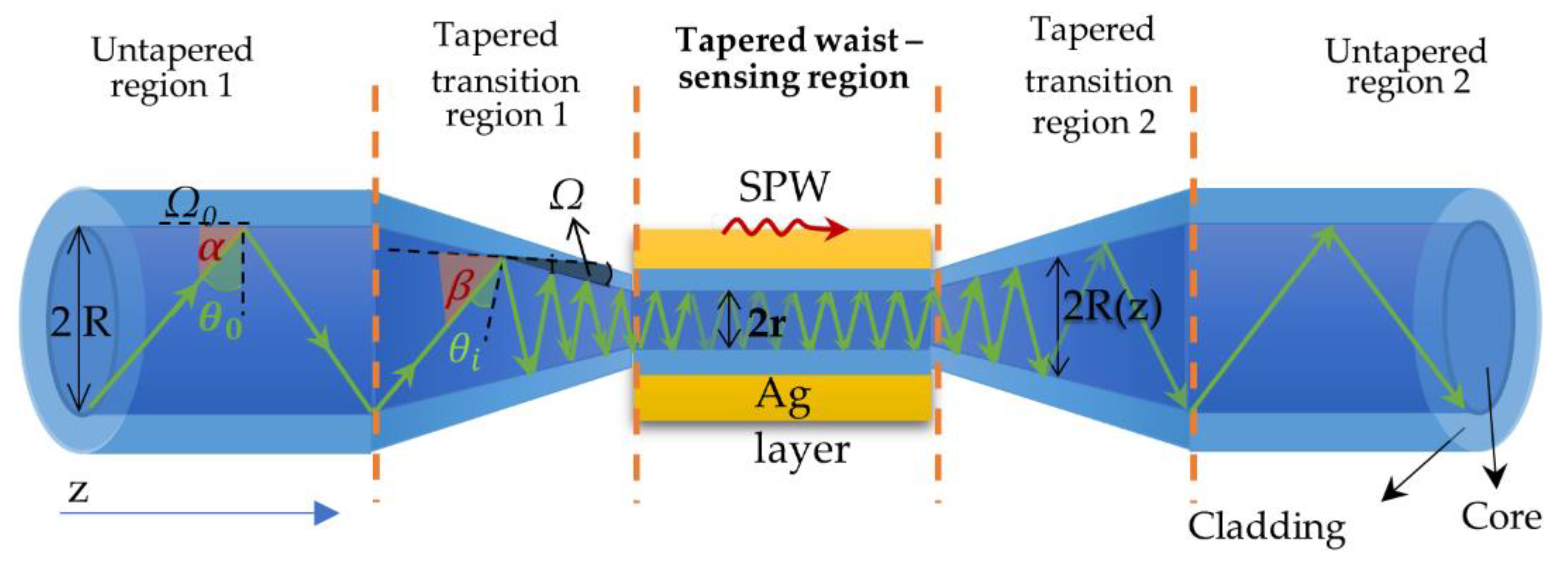 Molecules 26 07553 g001 550