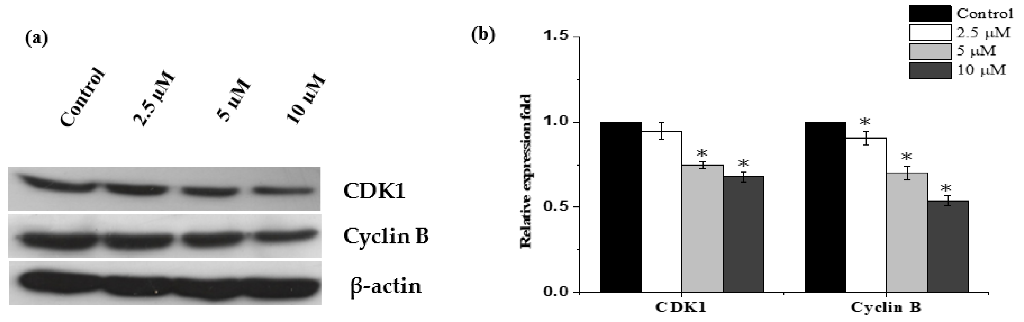 Molecules 26 07555 g004 Molecules 26 07555 g004
