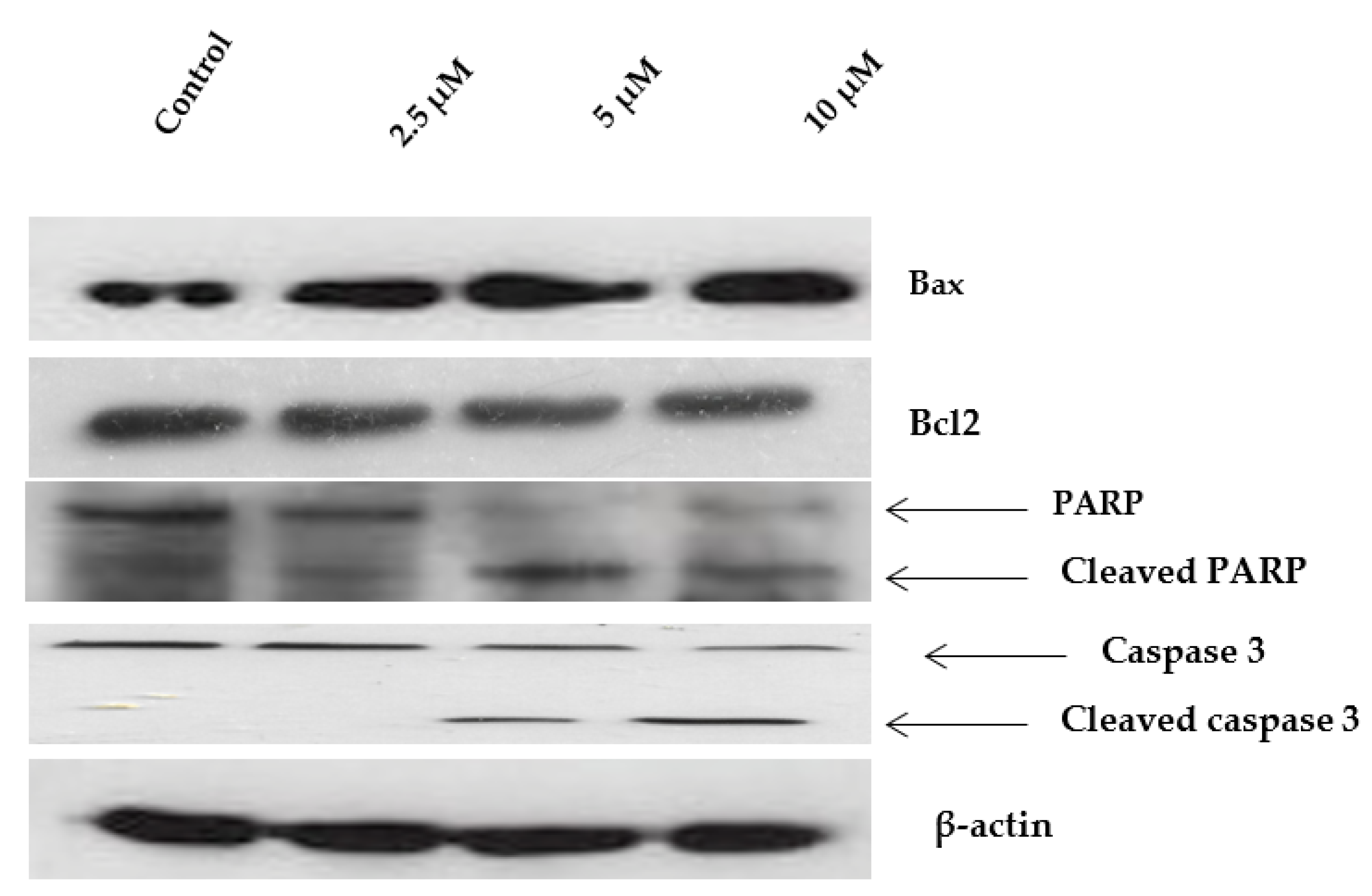 Molecules 26 07555 g007 Molecules 26 07555 g007