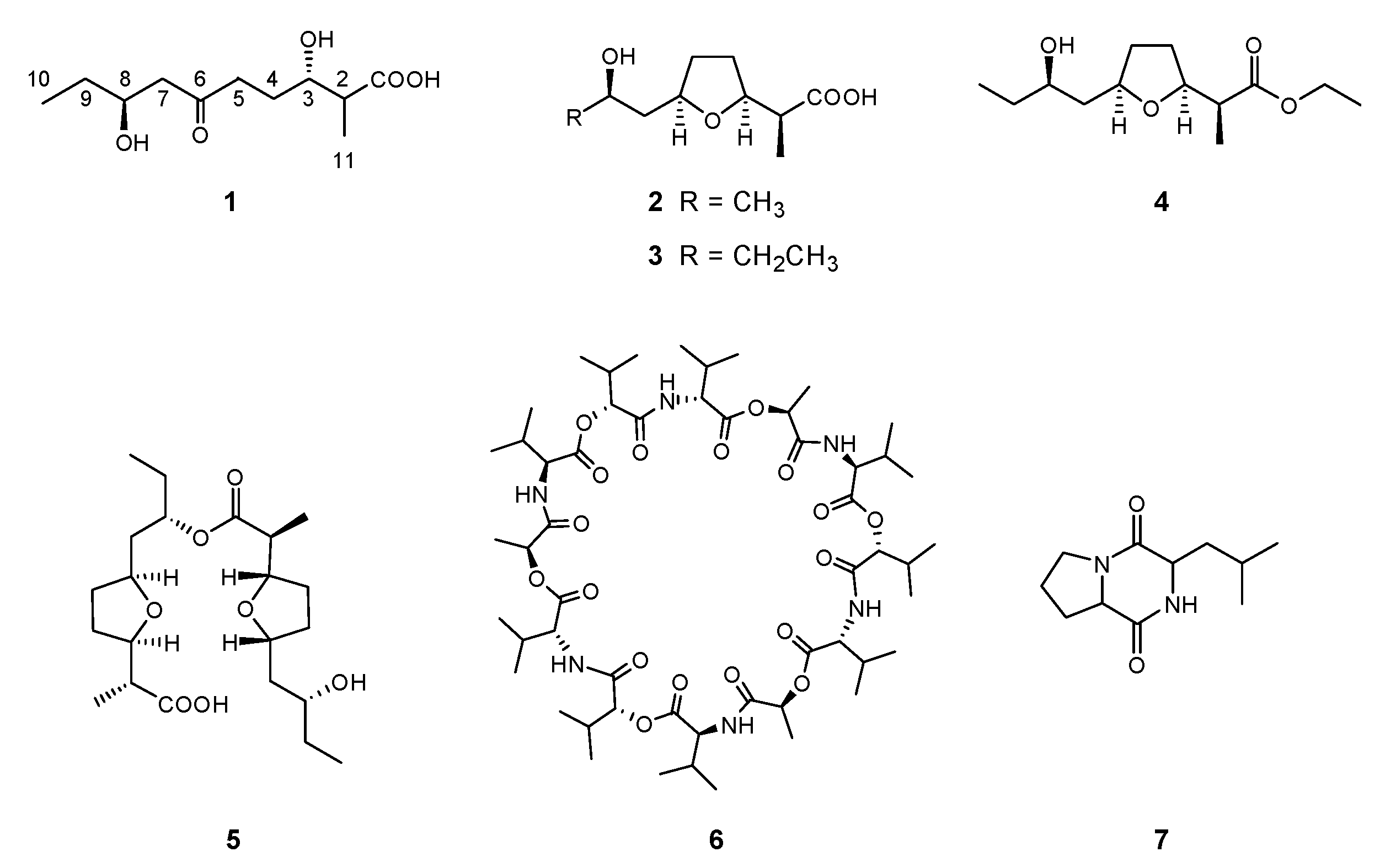 Molecules 26 07556 g001 550