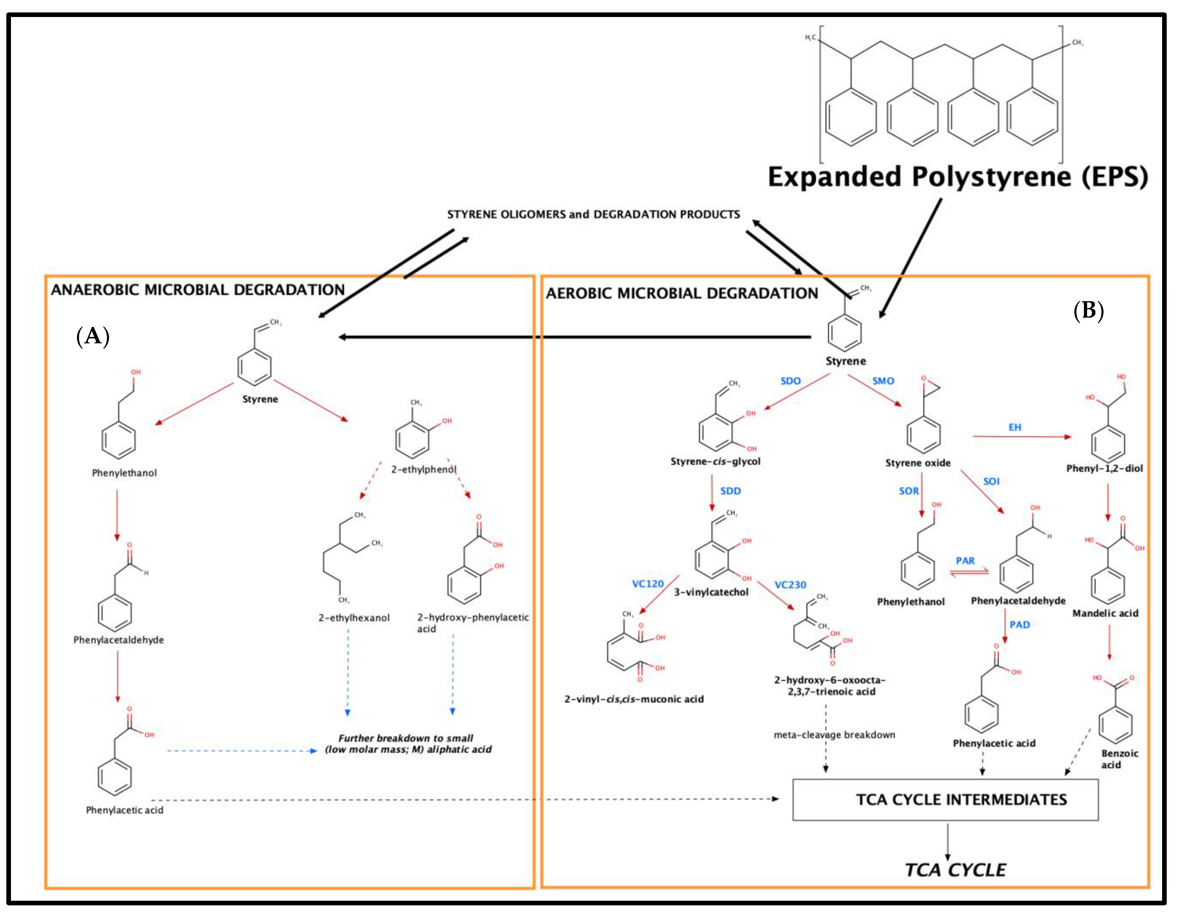 Molecules 26 07568 g003 550