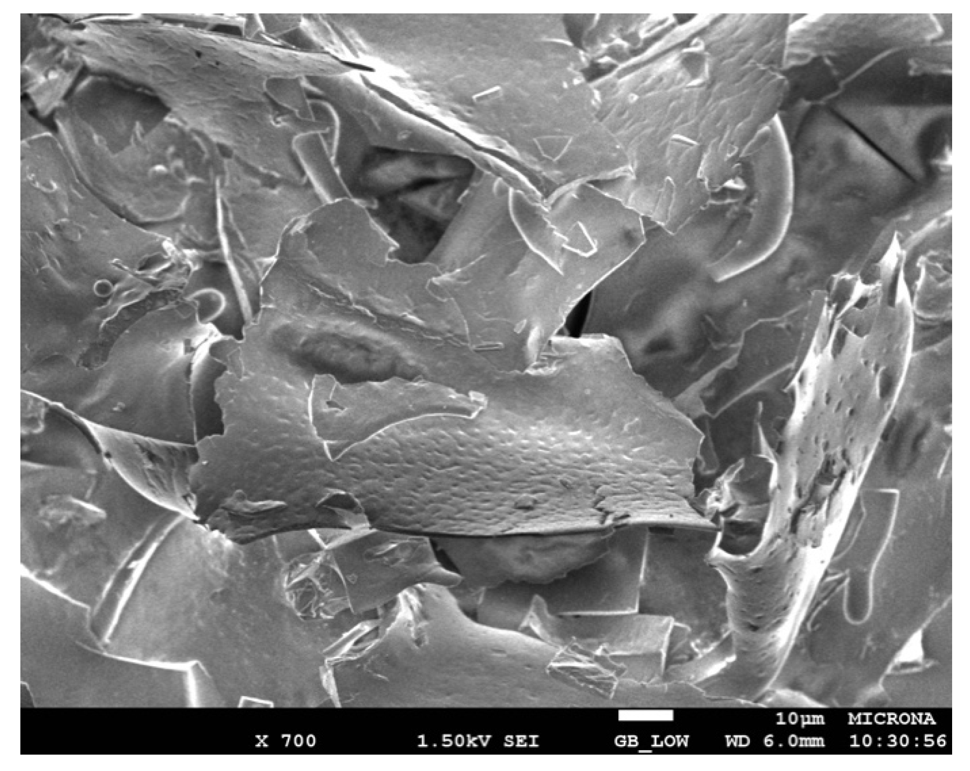 Molecules 26 07569 g006 550