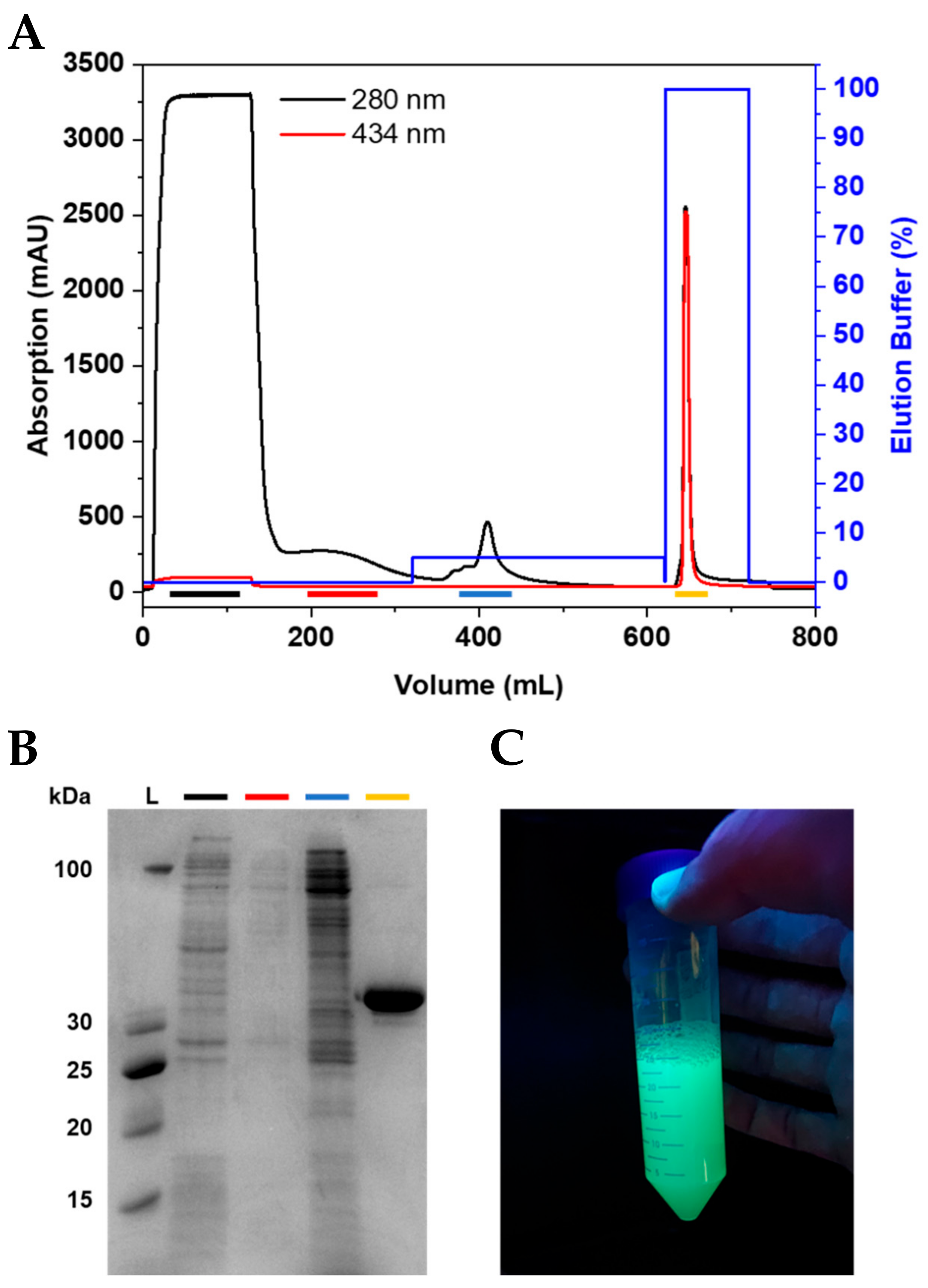 Molecules 26 07576 g002