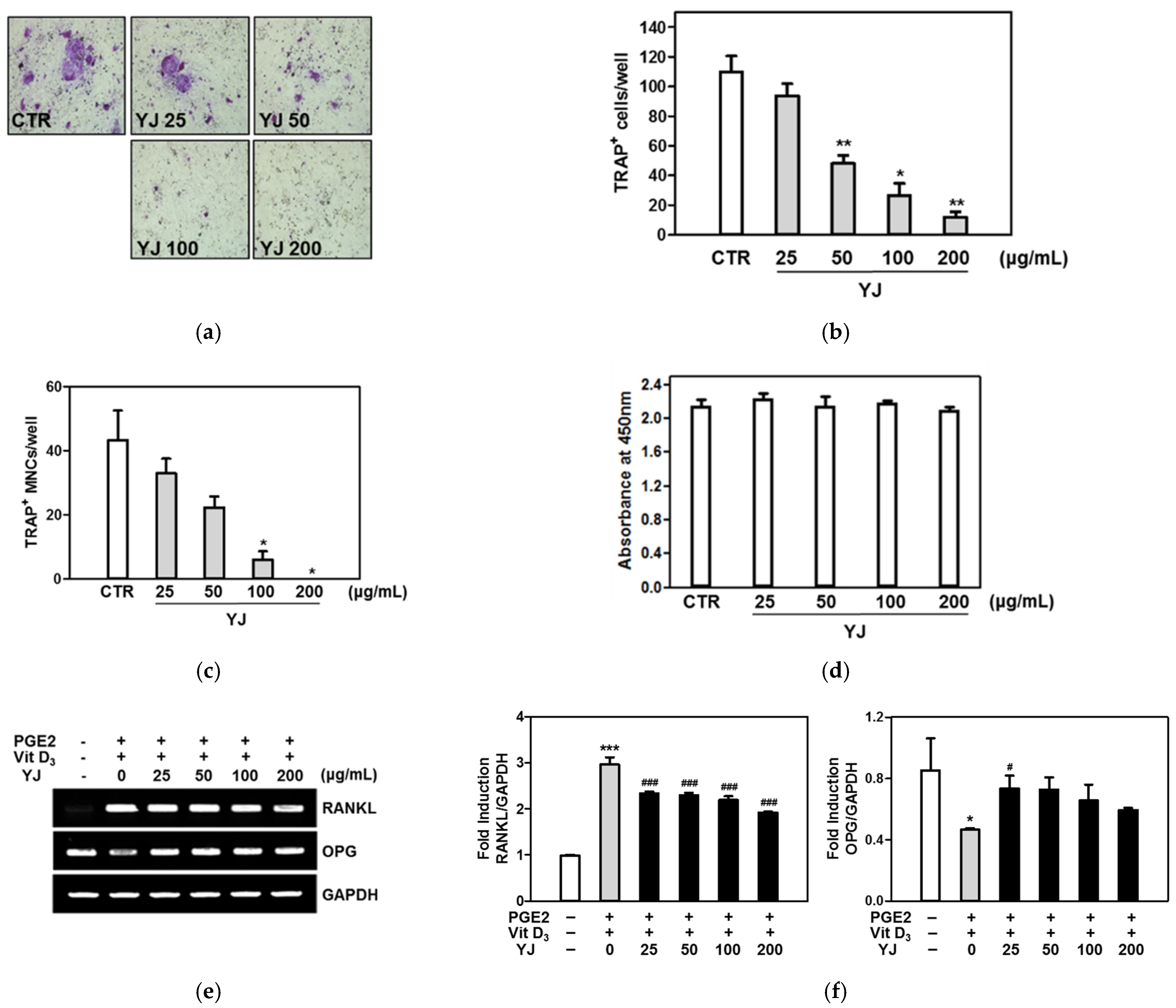 Molecules 26 07579 g002 550
