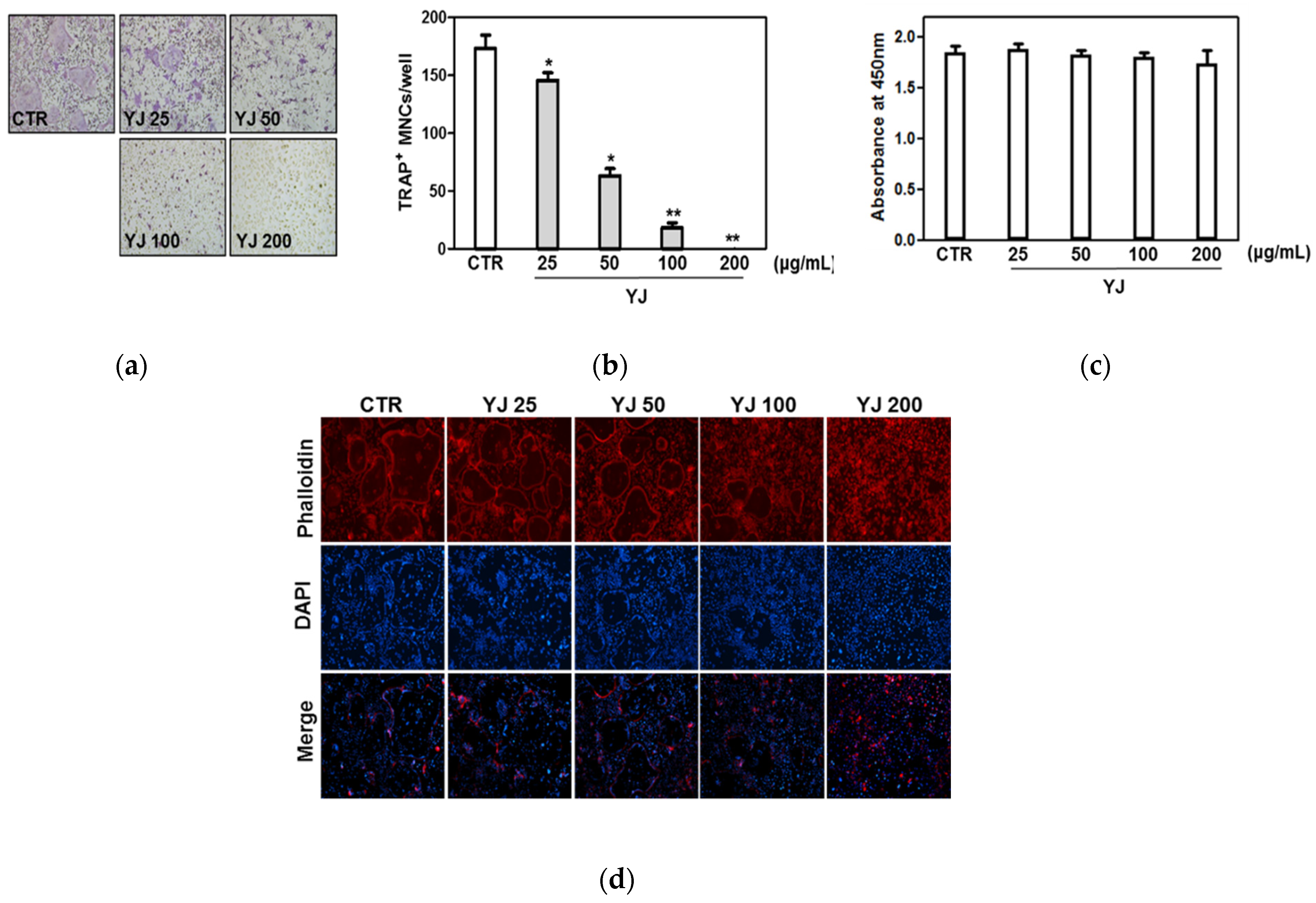 Molecules 26 07579 g003 550