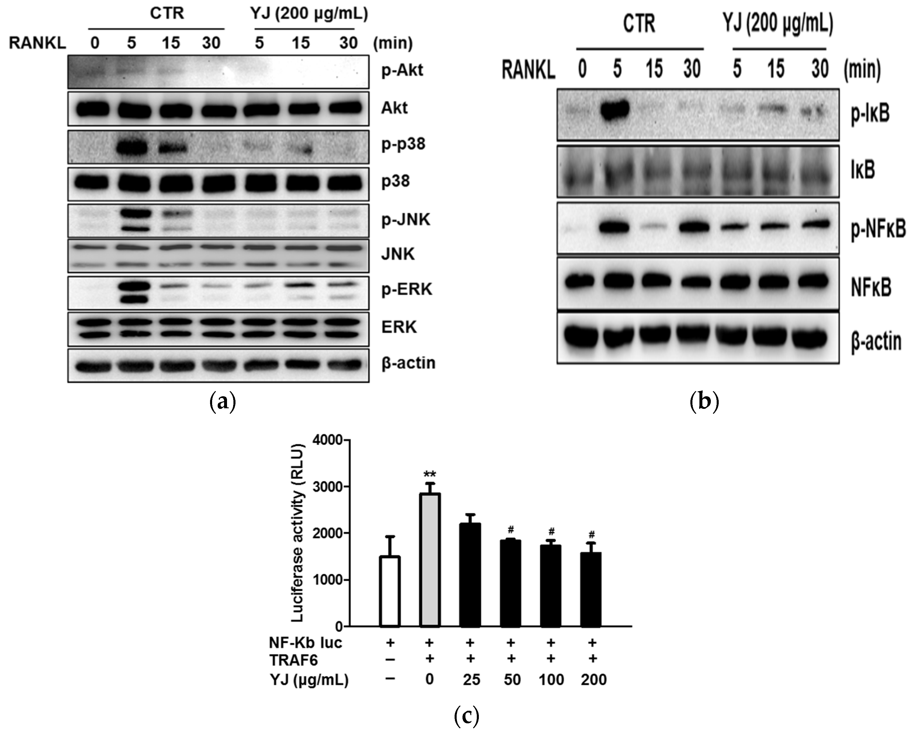 Molecules 26 07579 g004 550