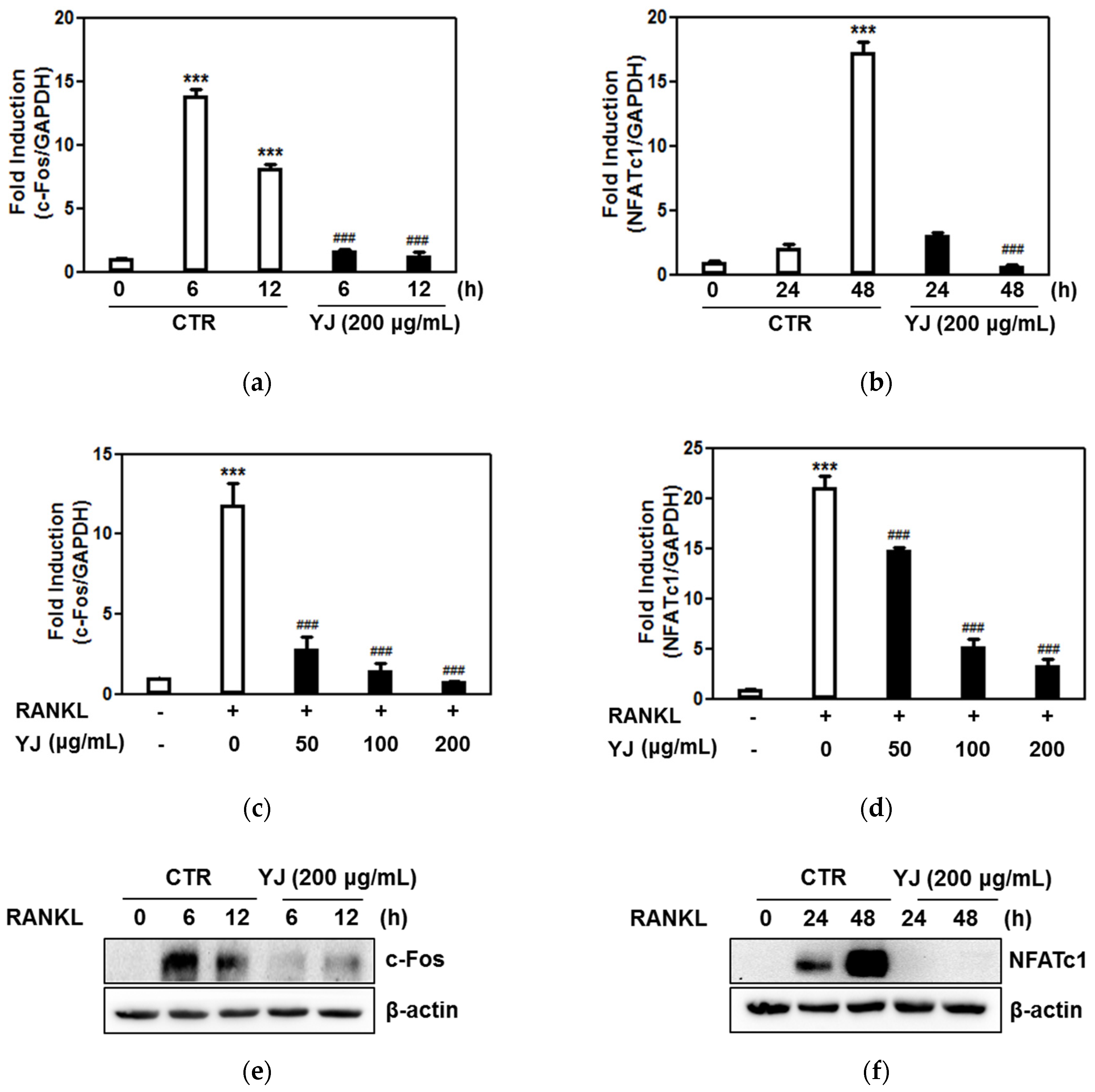 Molecules 26 07579 g005 550