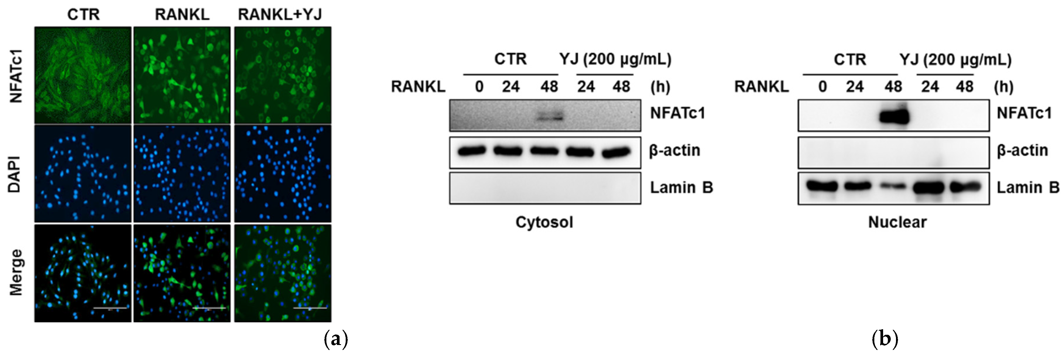Molecules 26 07579 g006 550
