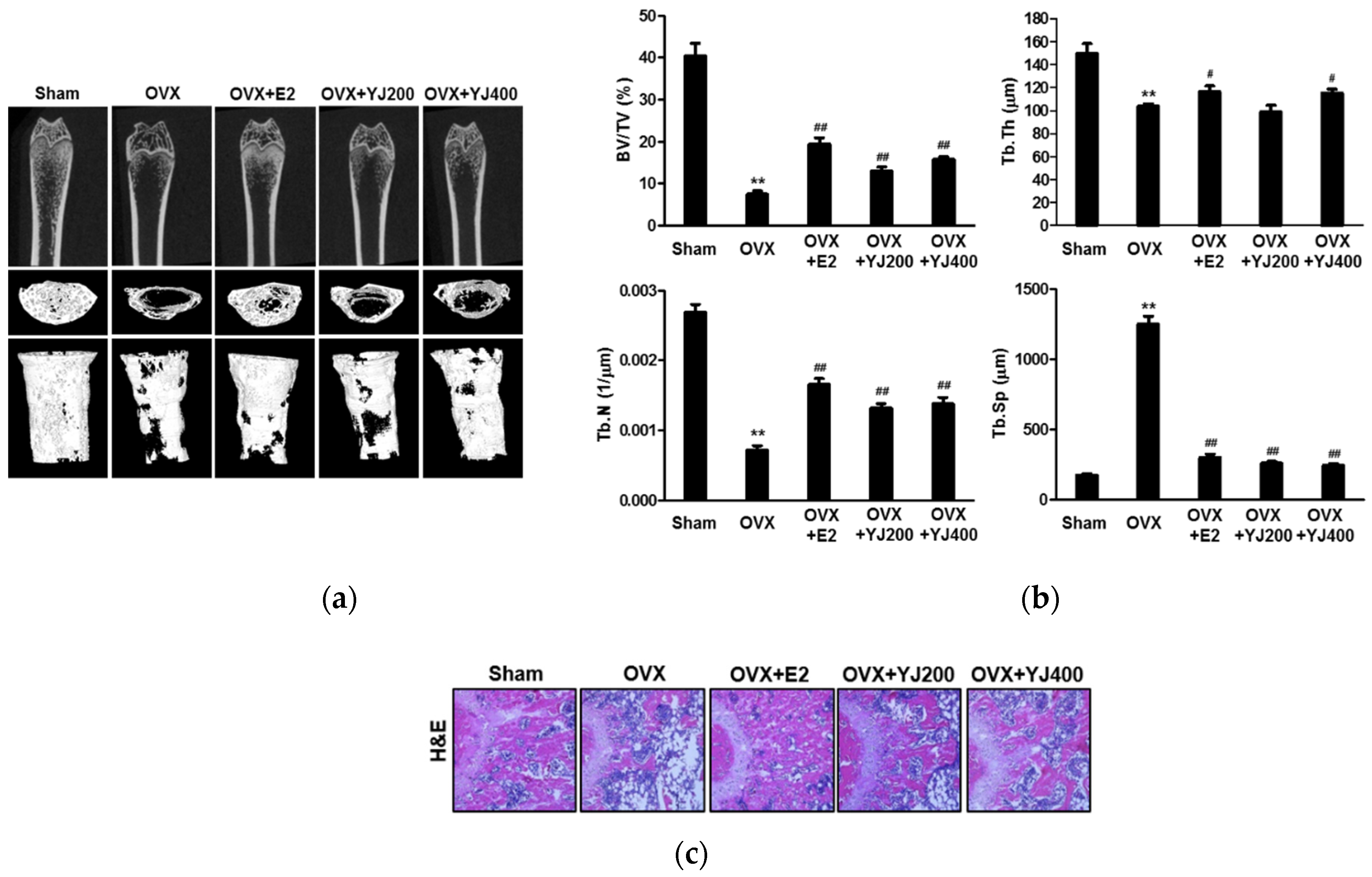 Molecules 26 07579 g008 550