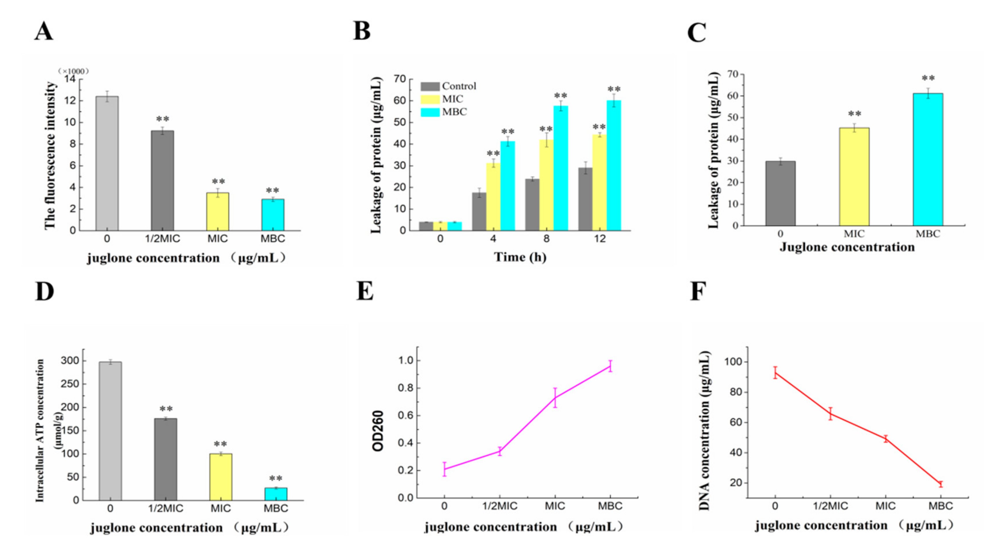 Molecules 26 07580 g004 550