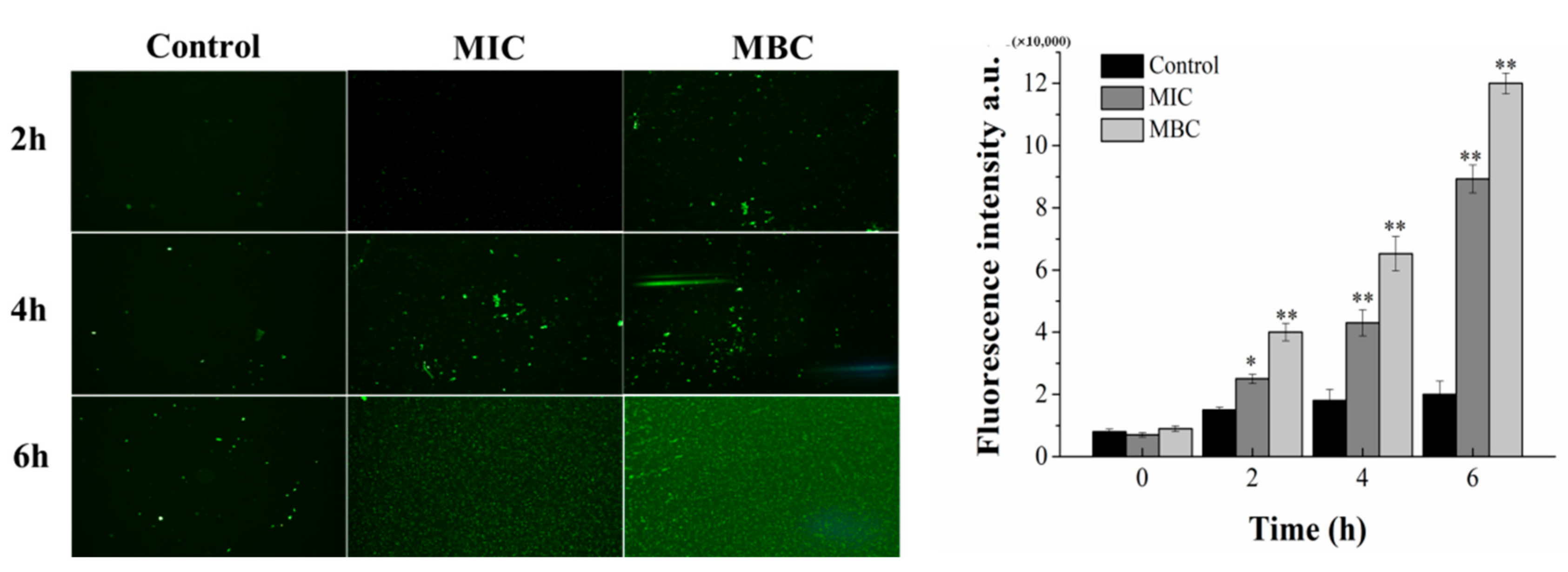 Molecules 26 07580 g005 550