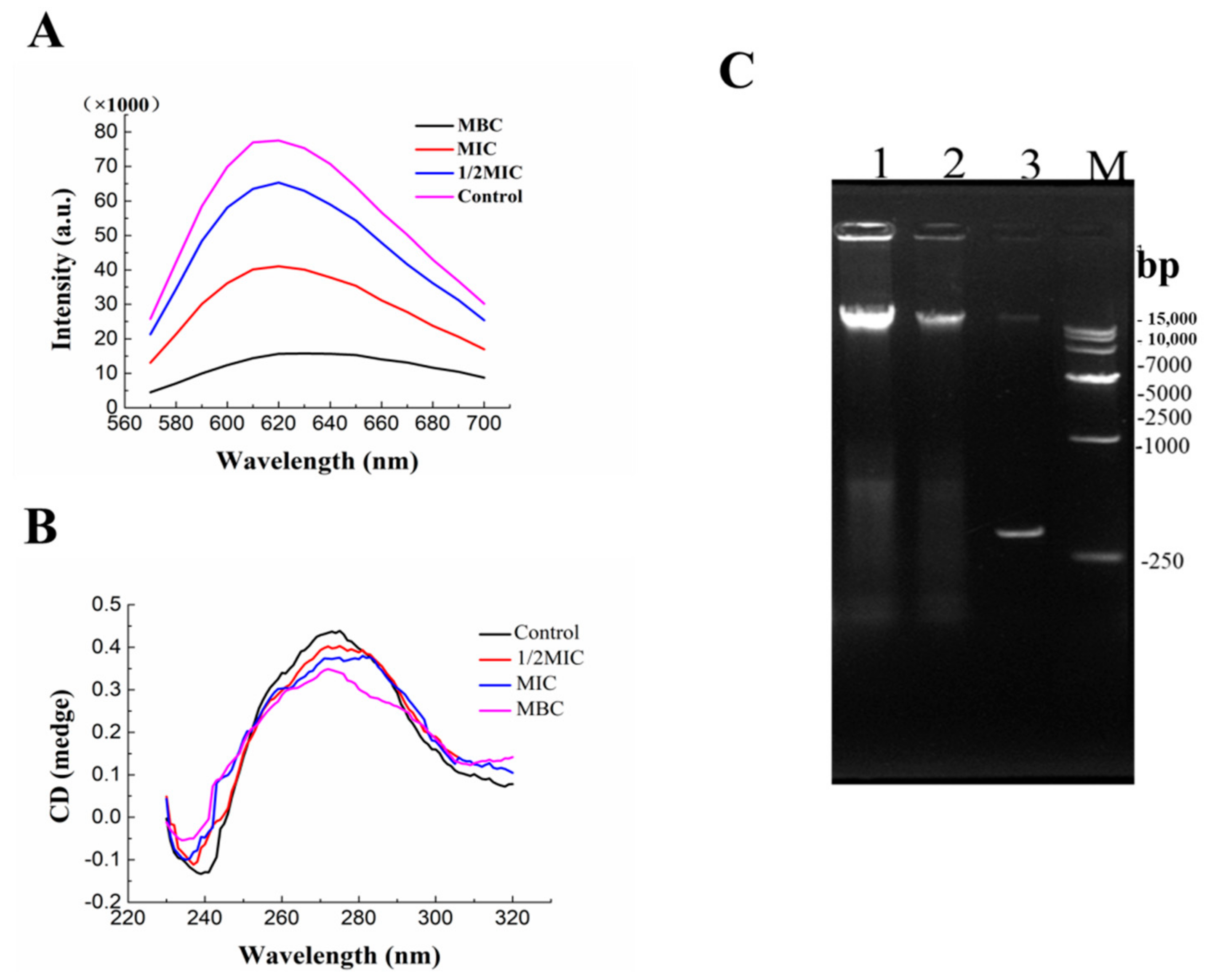 Molecules 26 07580 g006 550
