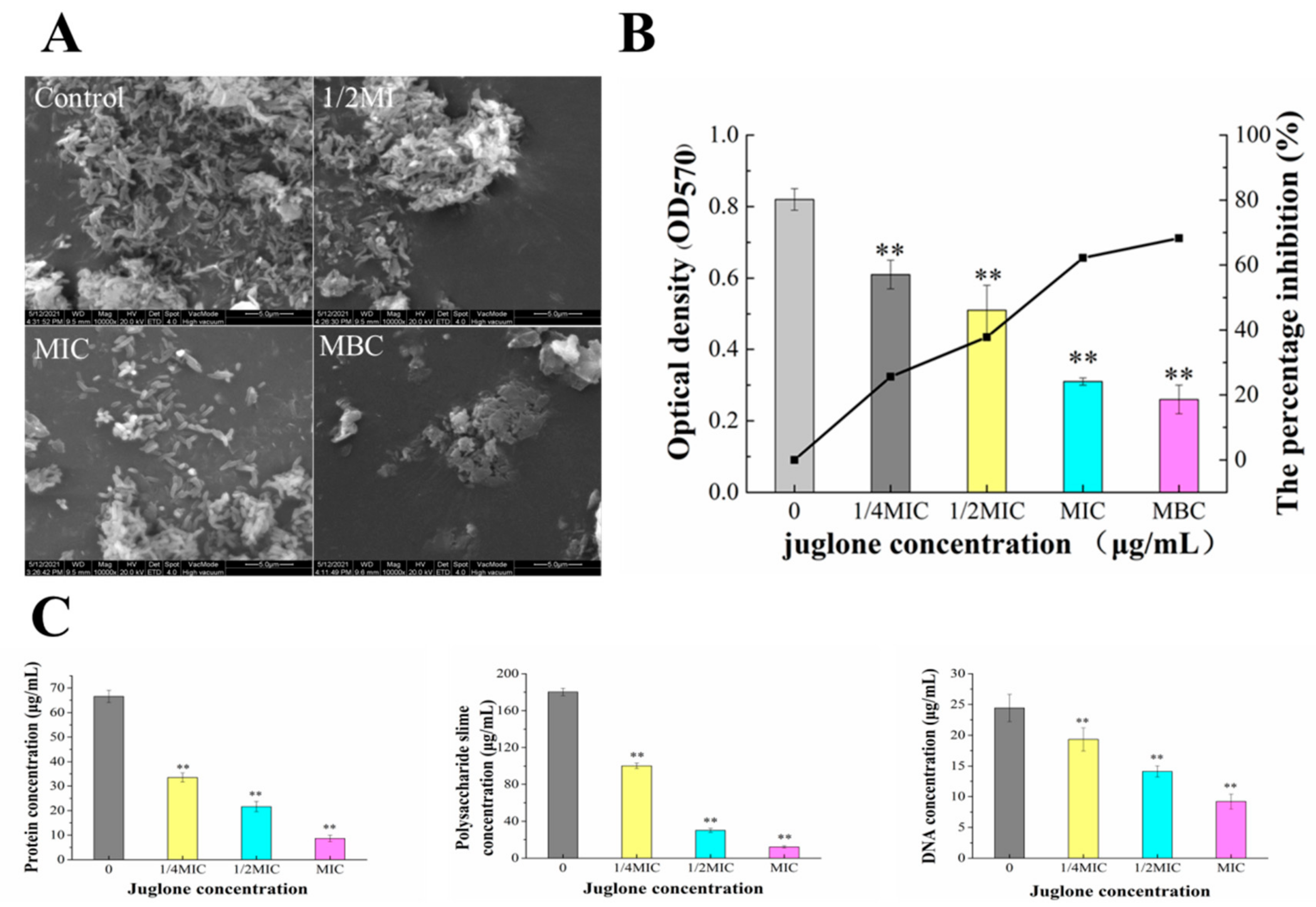Molecules 26 07580 g007 550