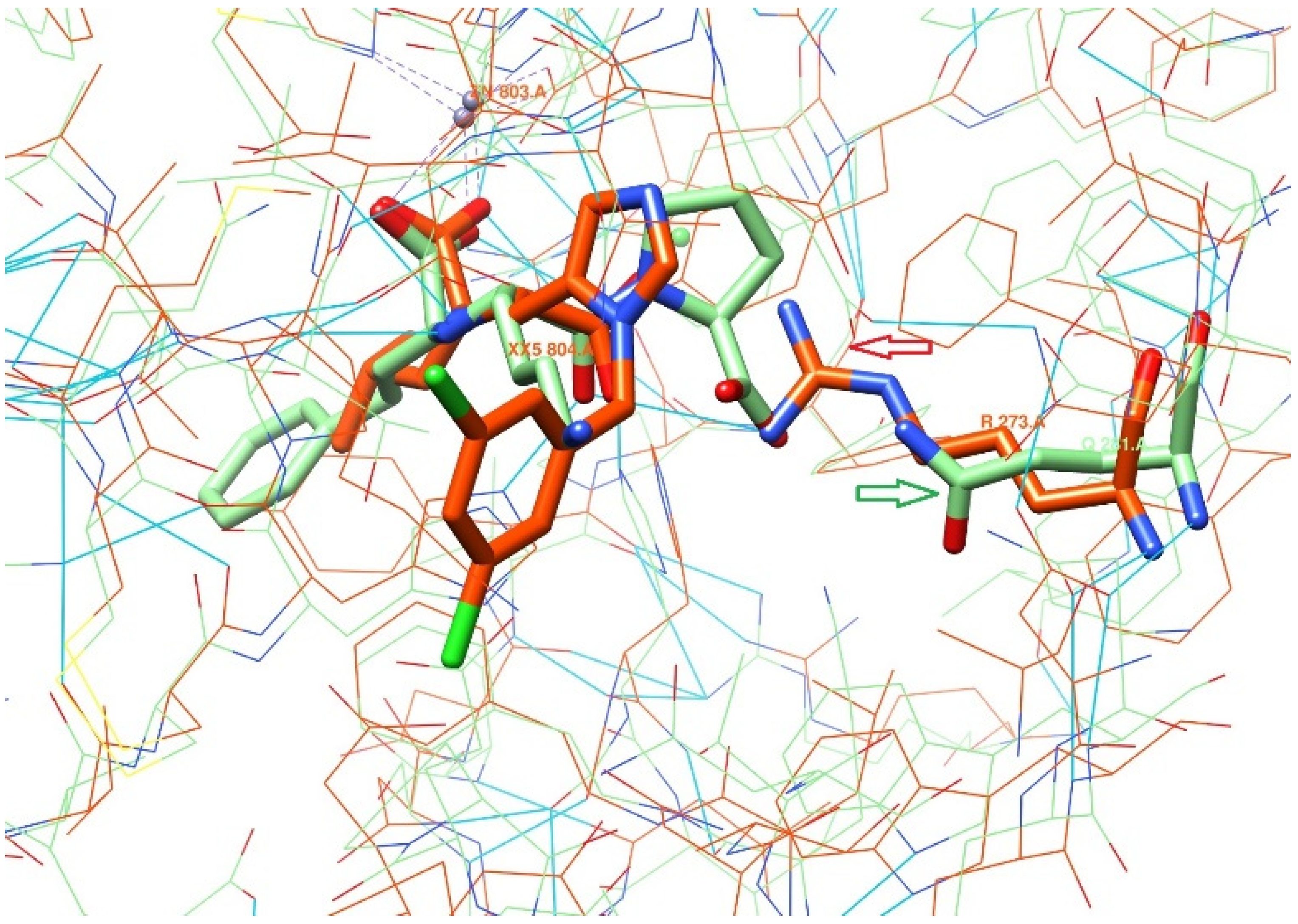 Molecules 26 07584 g002 550