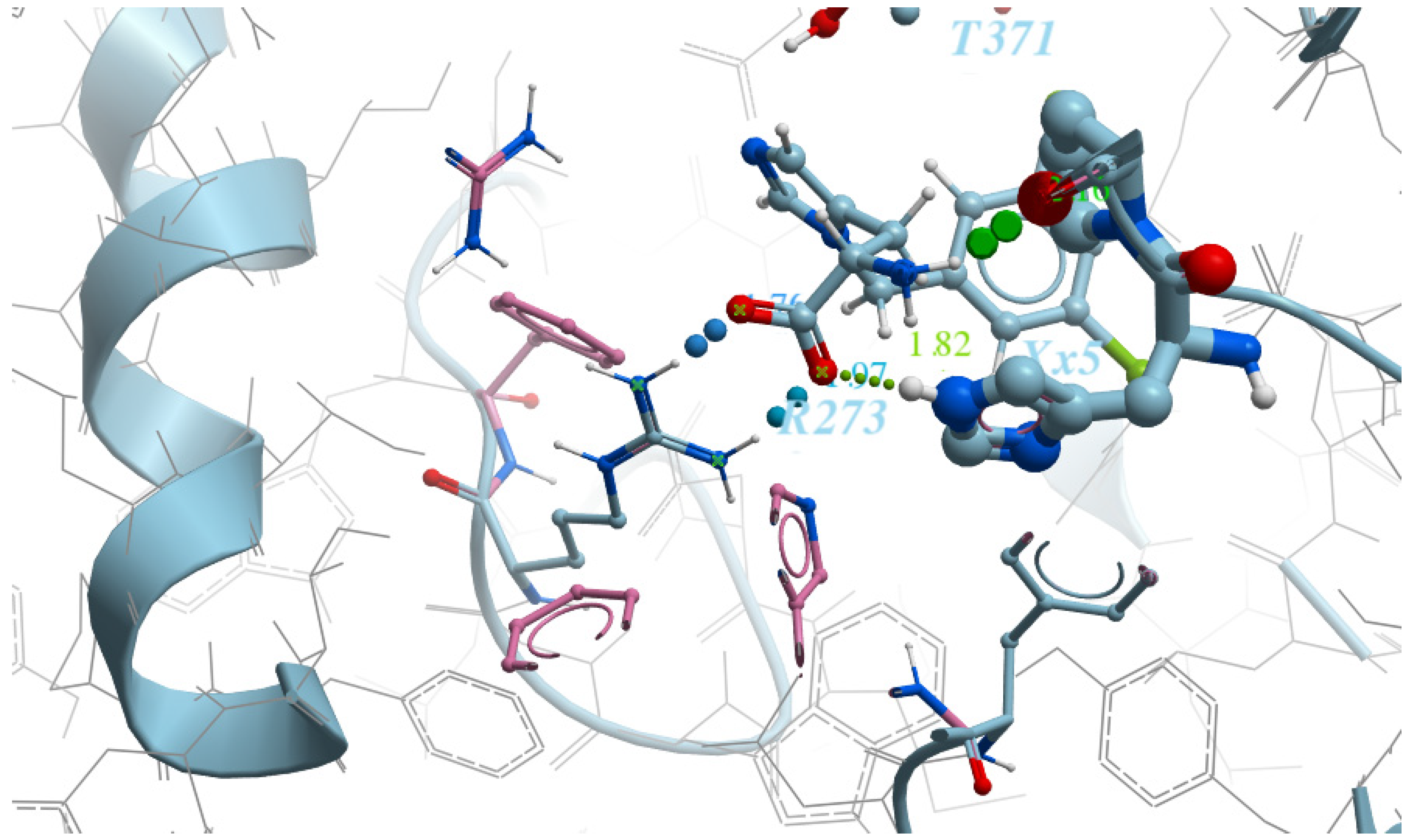 Molecules 26 07584 g003 550