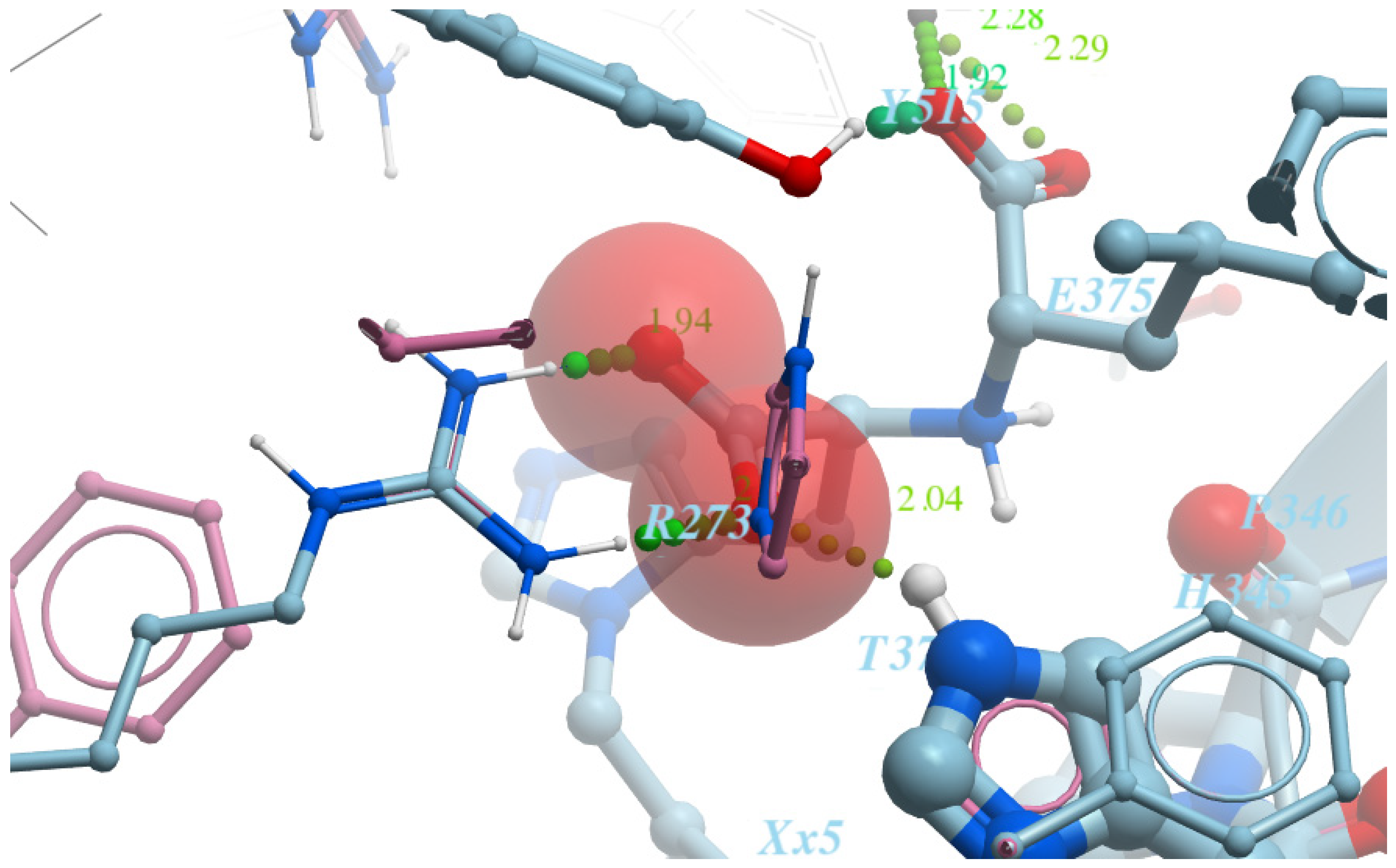 Molecules 26 07584 g004 550