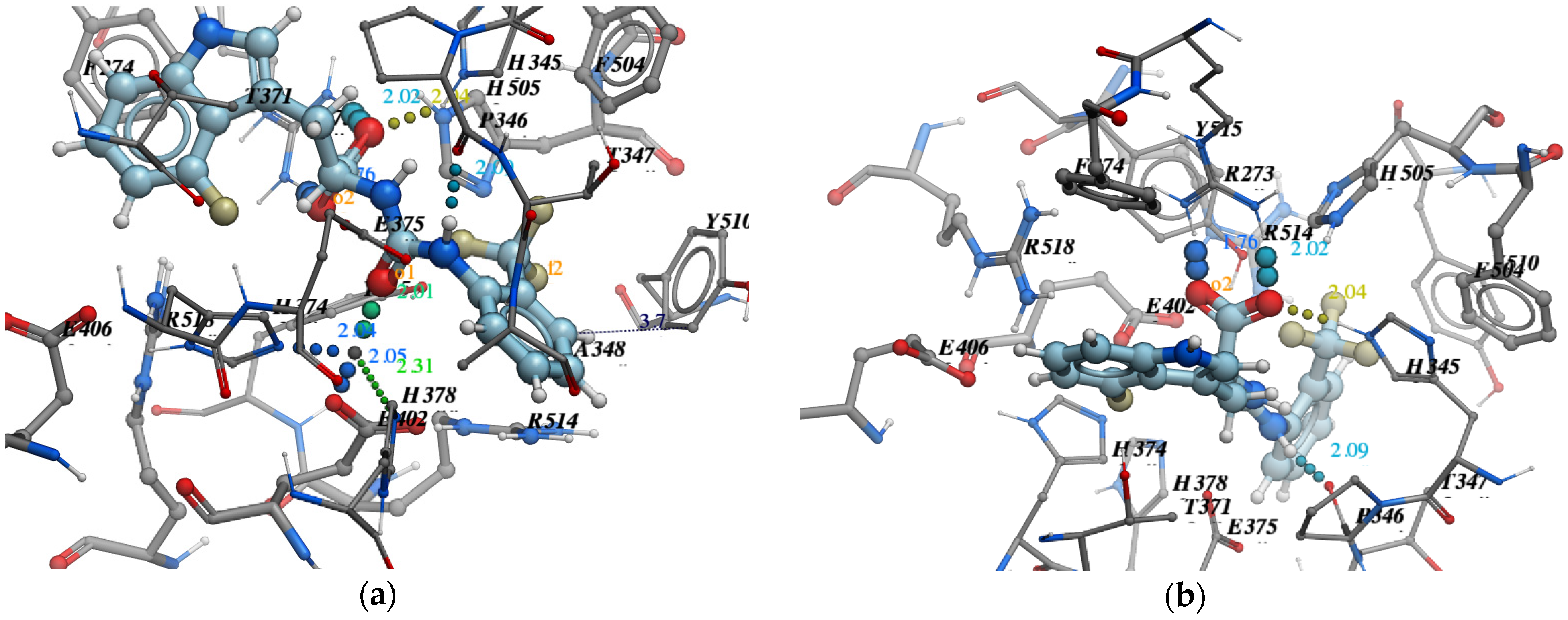 Molecules 26 07584 g008 550