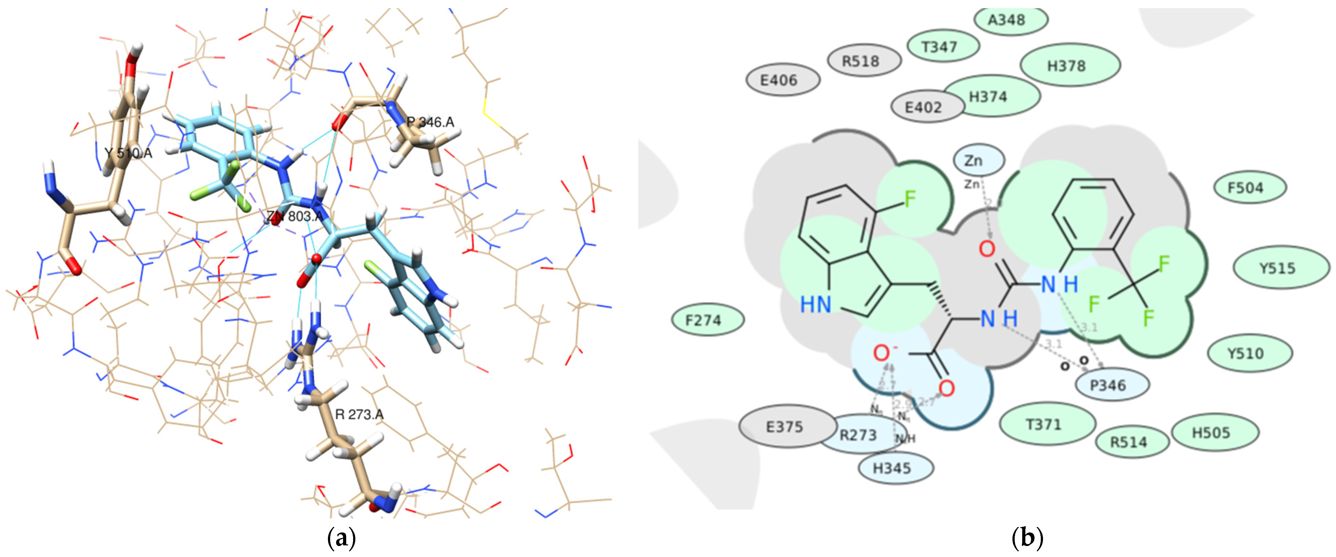 Molecules 26 07584 g009 550
