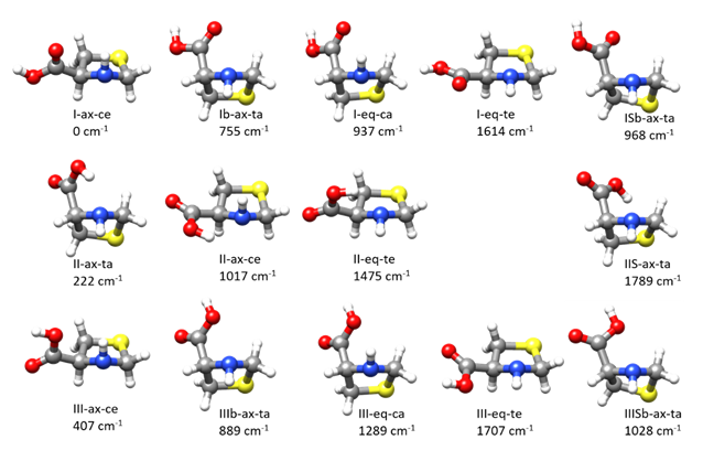 Molecules 26 07585 g001 550