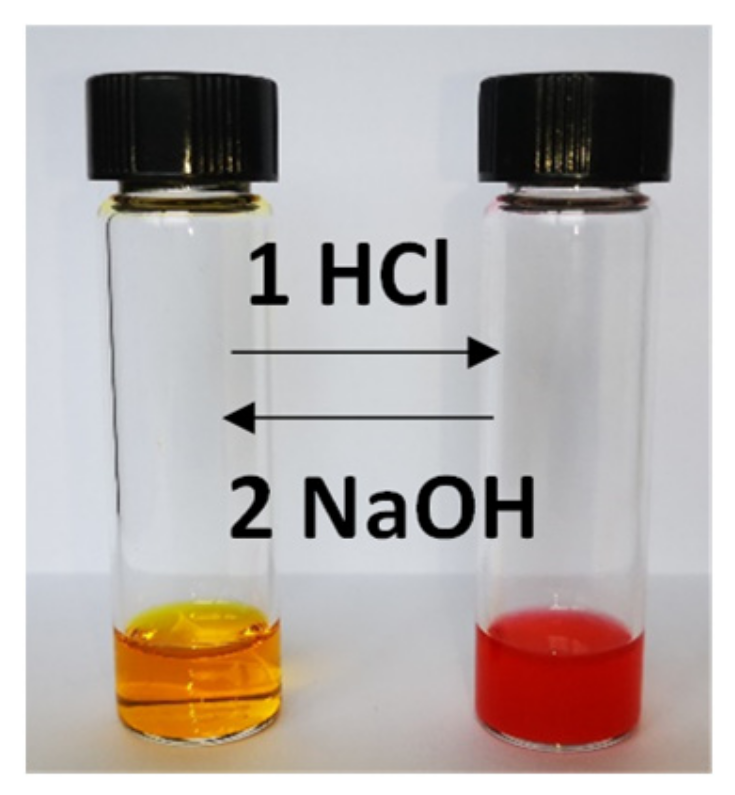 Molecules 26 07586 g006