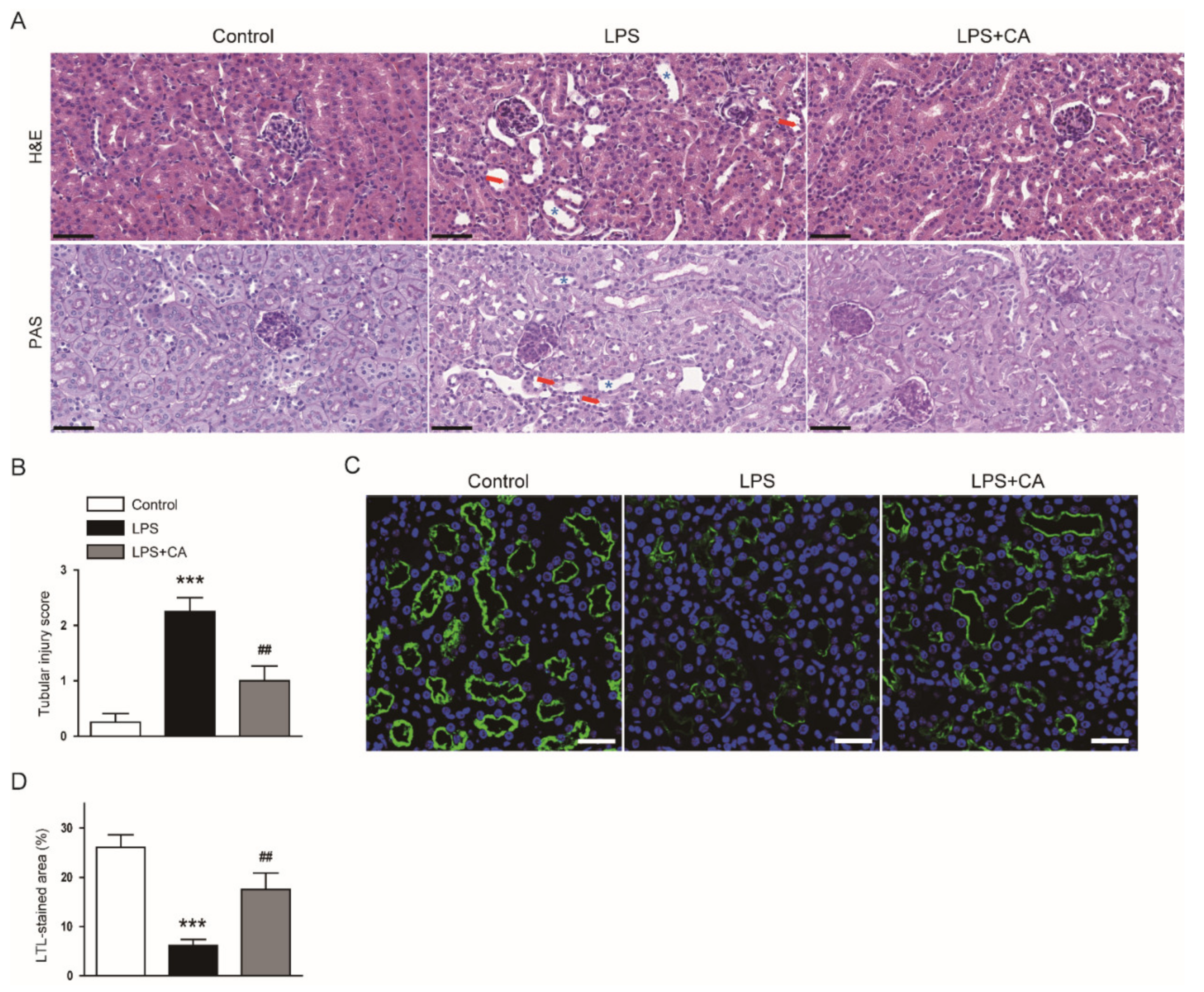 Molecules 26 07589 g001 550