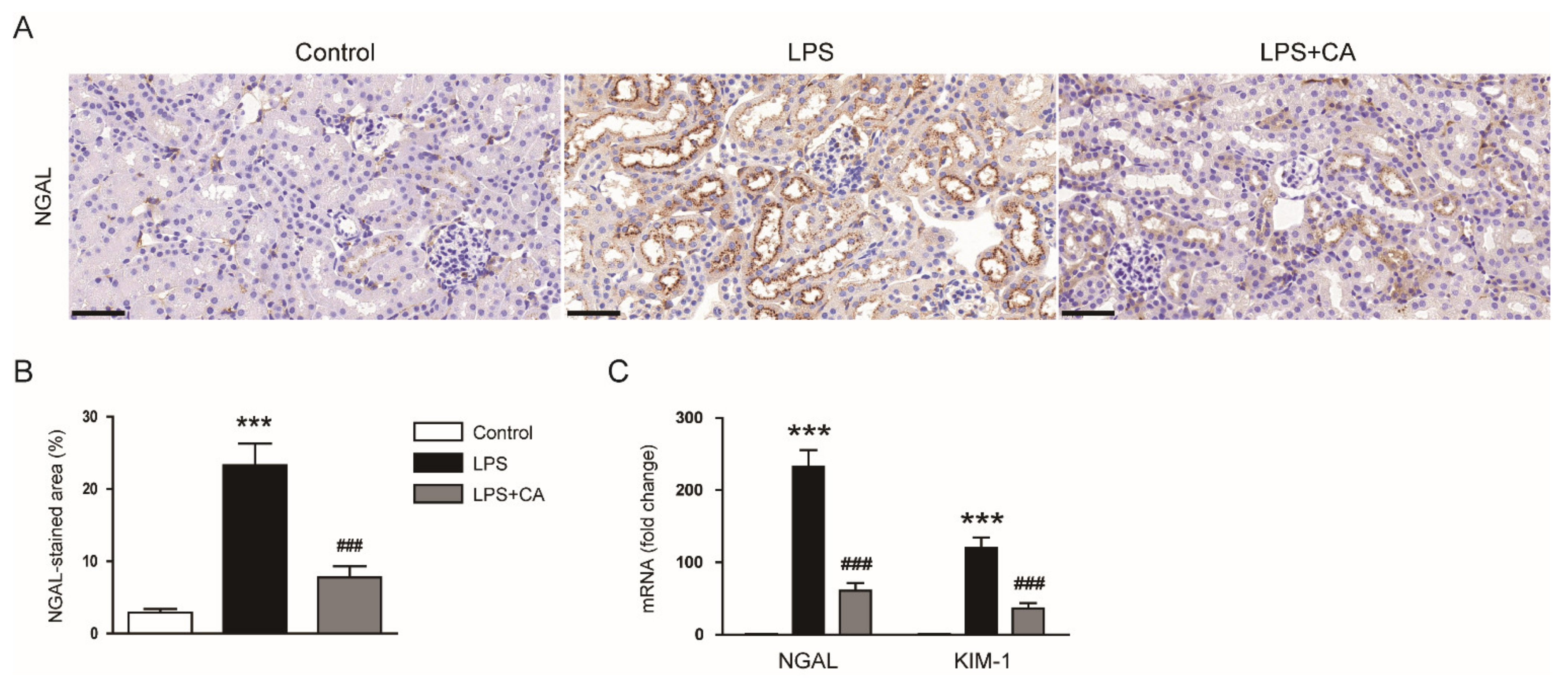 Molecules 26 07589 g002 550