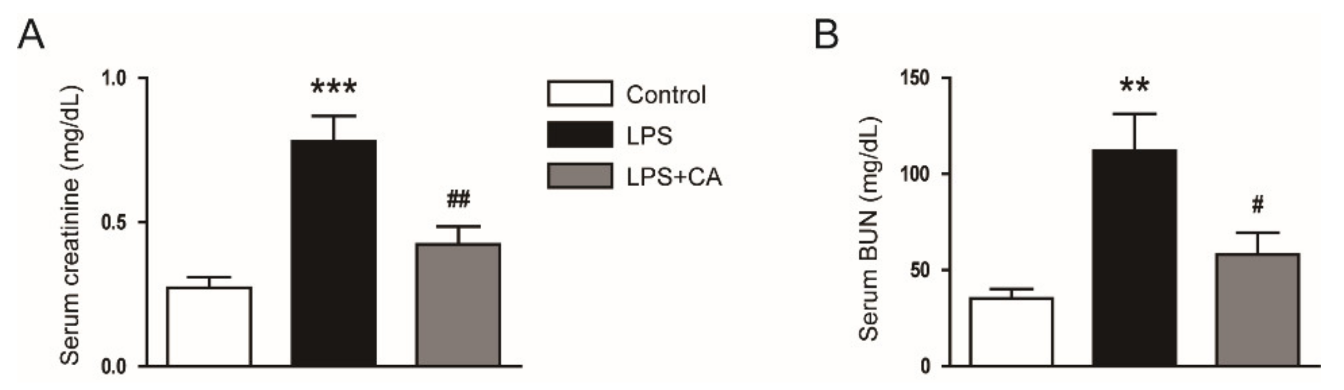 Molecules 26 07589 g003 550