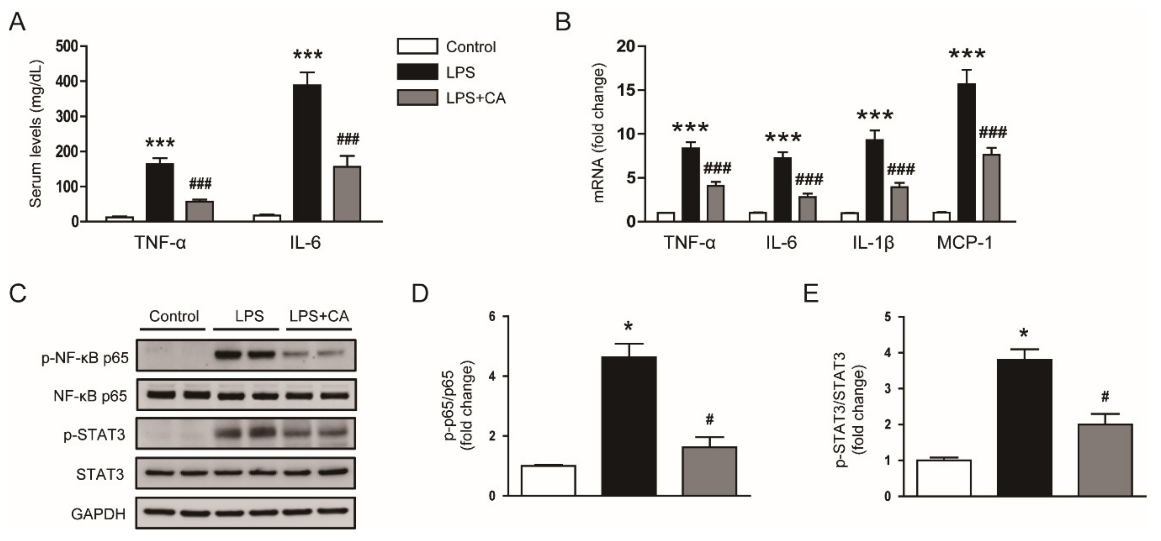 Molecules 26 07589 g004 550