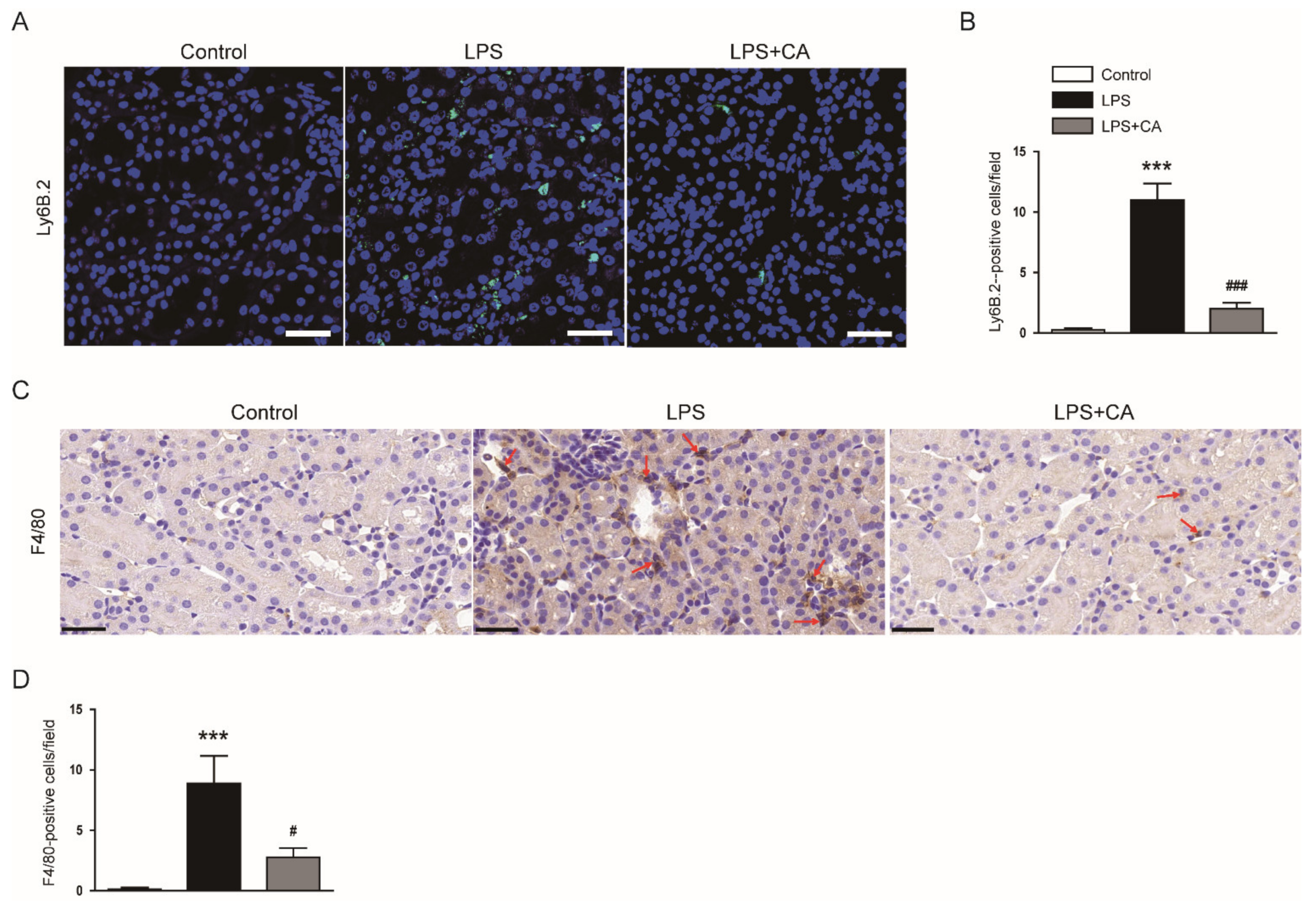 Molecules 26 07589 g005 550