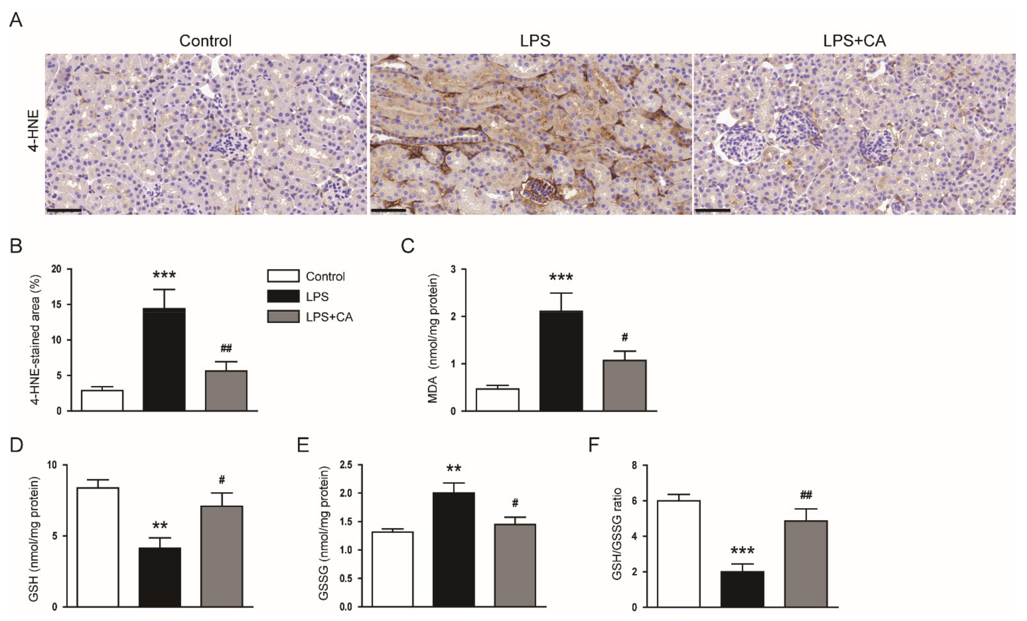 Molecules 26 07589 g006 550