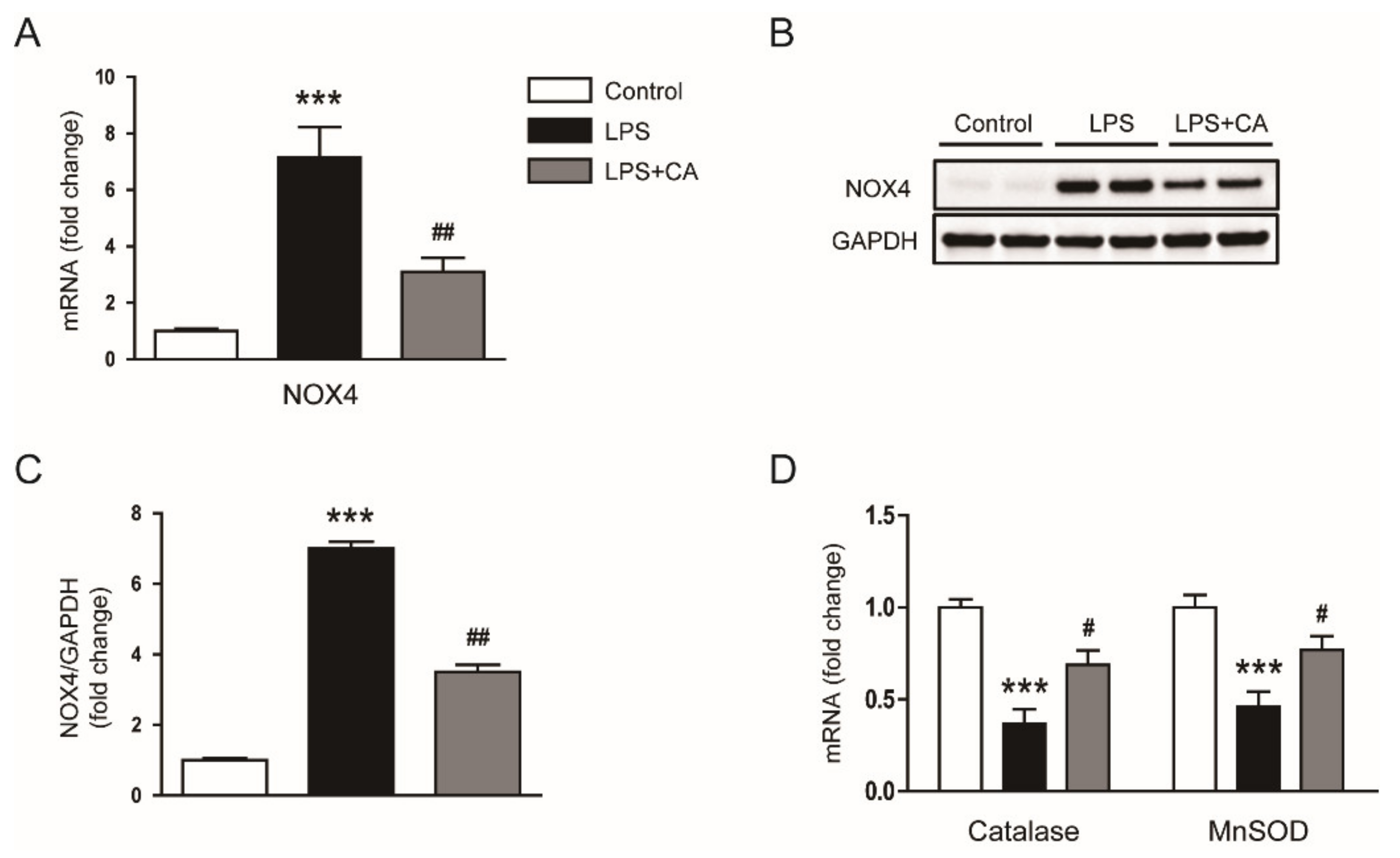 Molecules 26 07589 g007 550