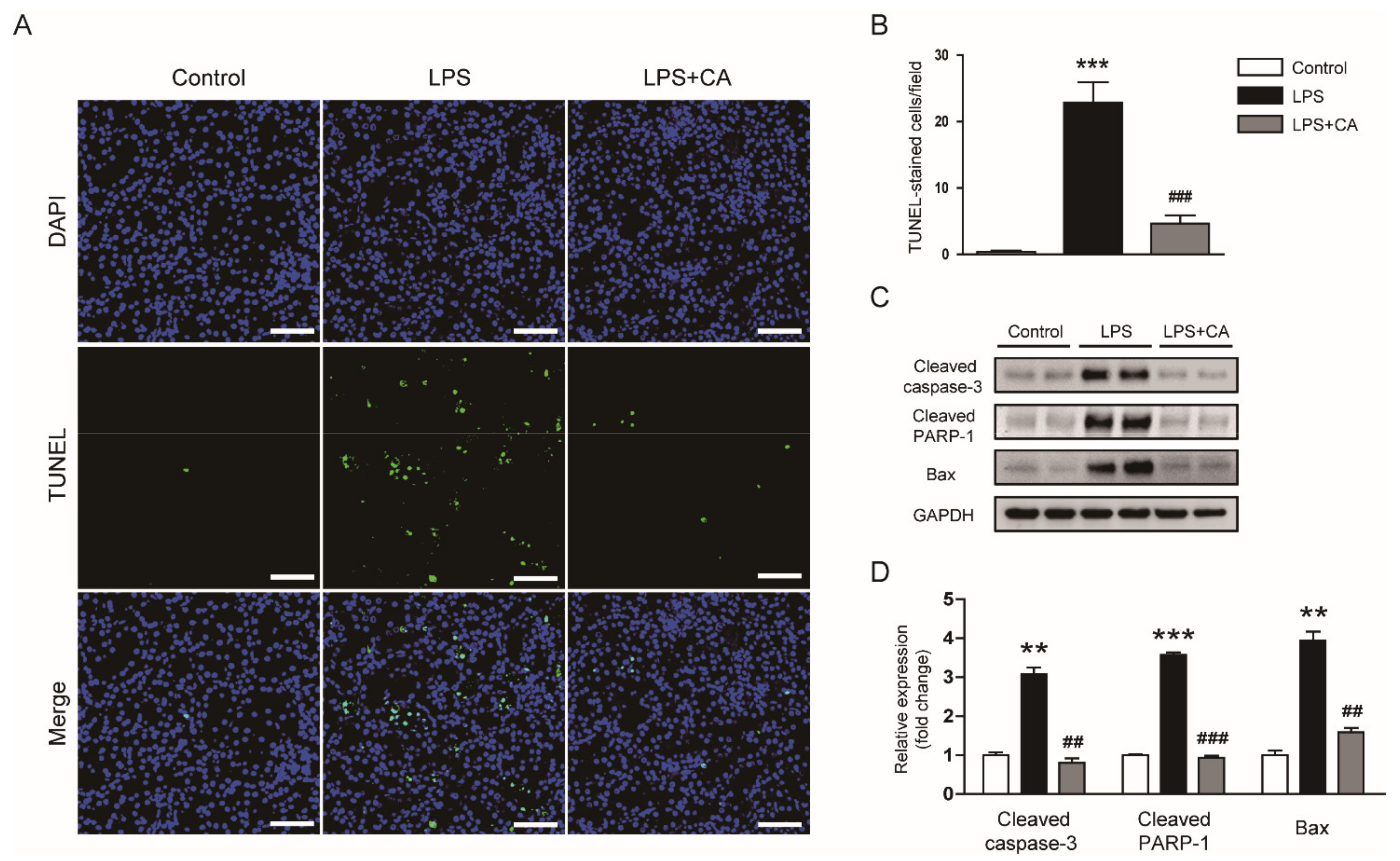 Molecules 26 07589 g008 550