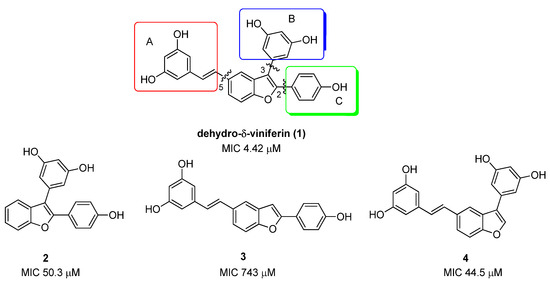 Synthesis and Antimicrobial Activity of δ-Viniferin