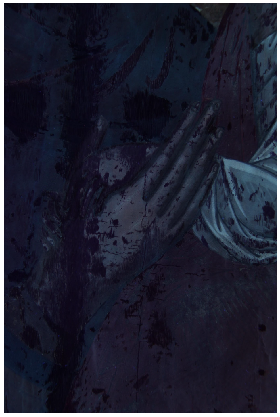 Molecules 26 07595 g004 Molecules 26 07595 g004