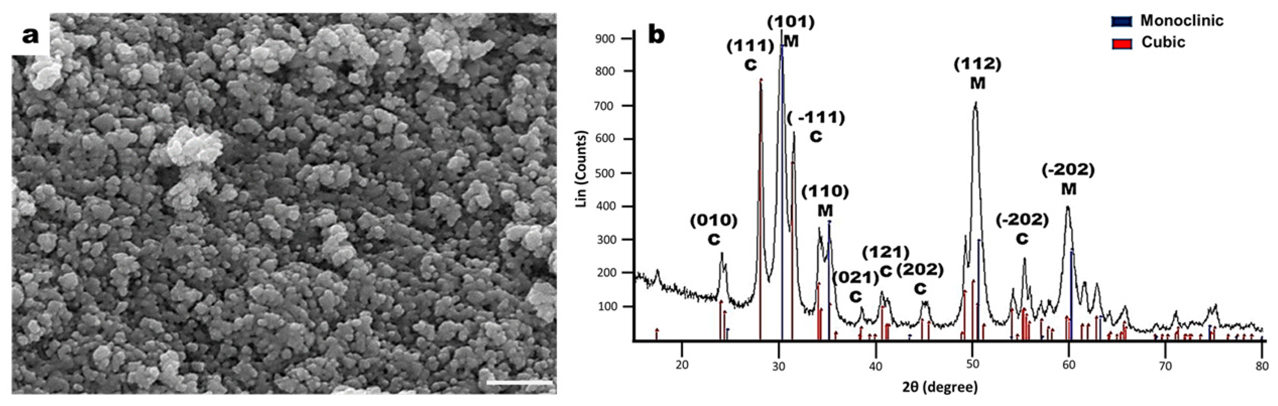 Molecules 26 07597 g001 550