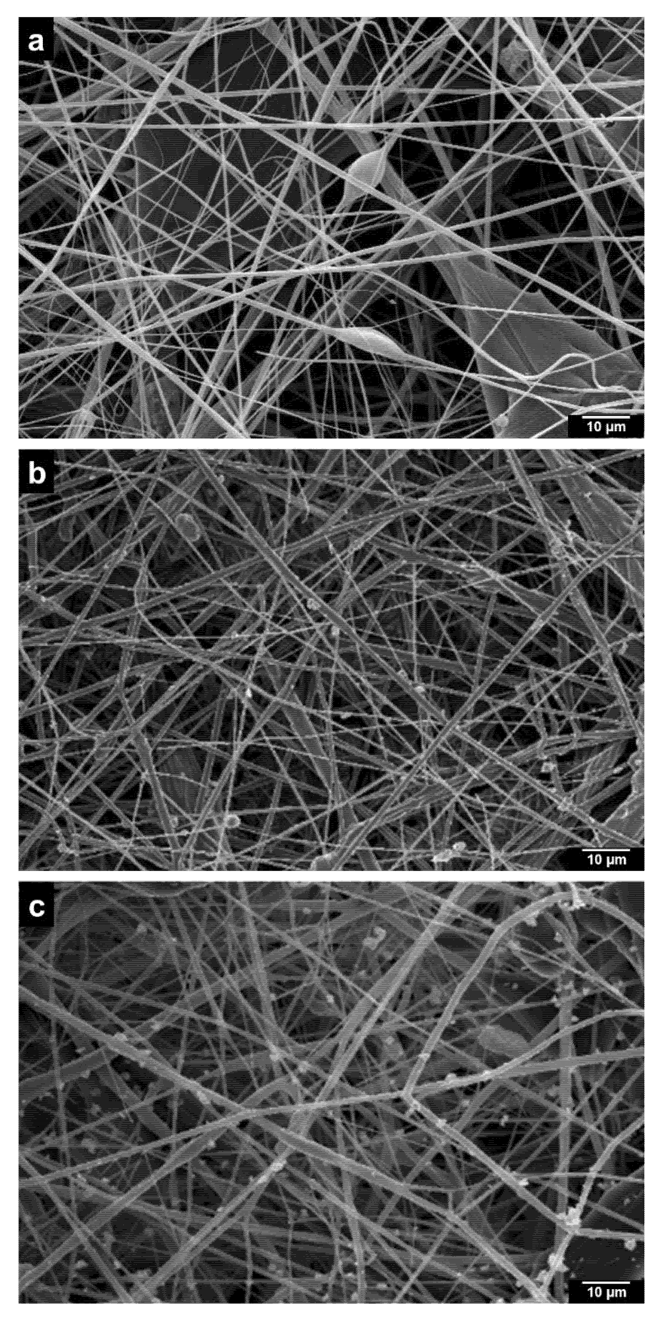 Molecules 26 07597 g002 550