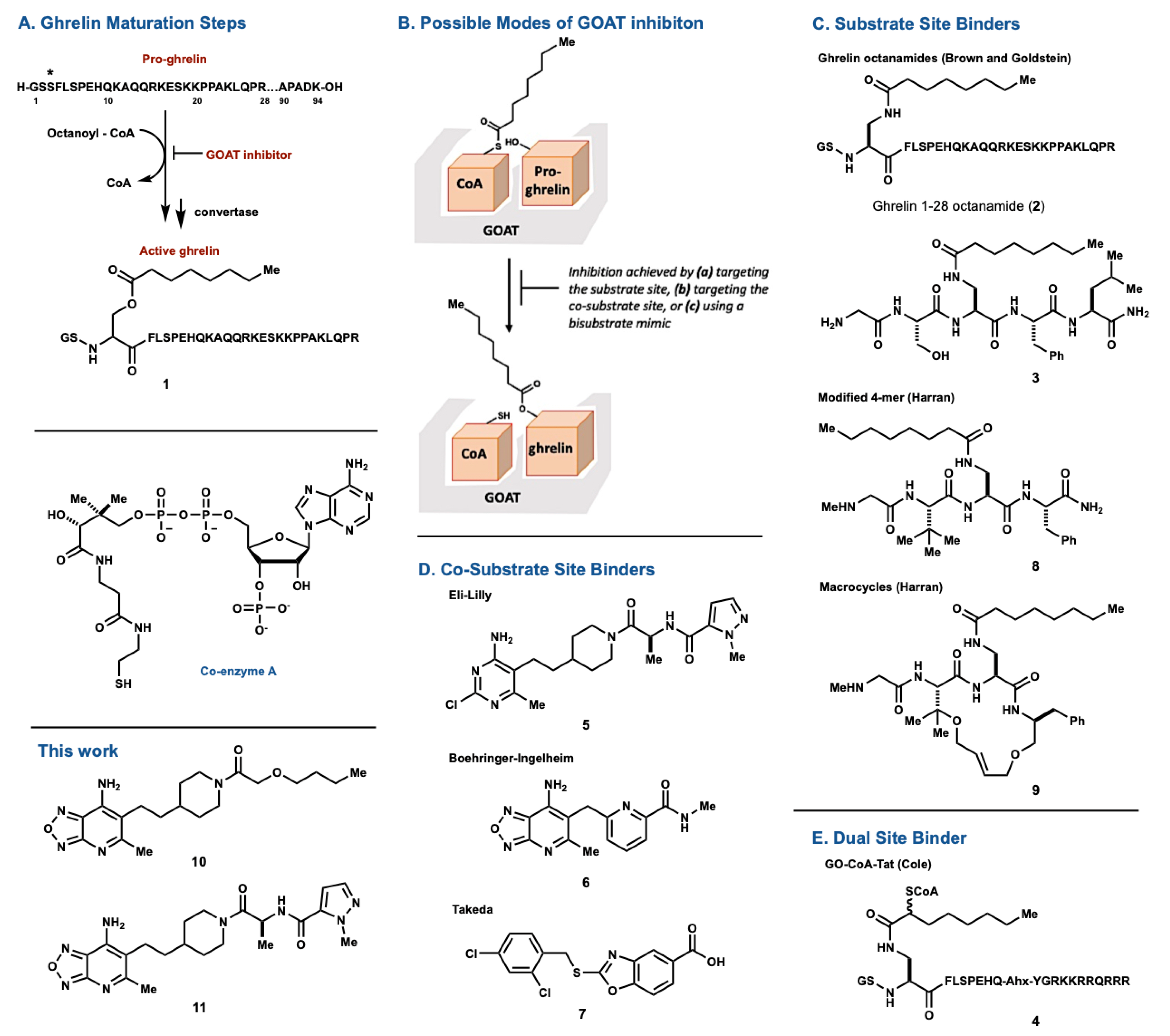 Molecules 26 07599 g001