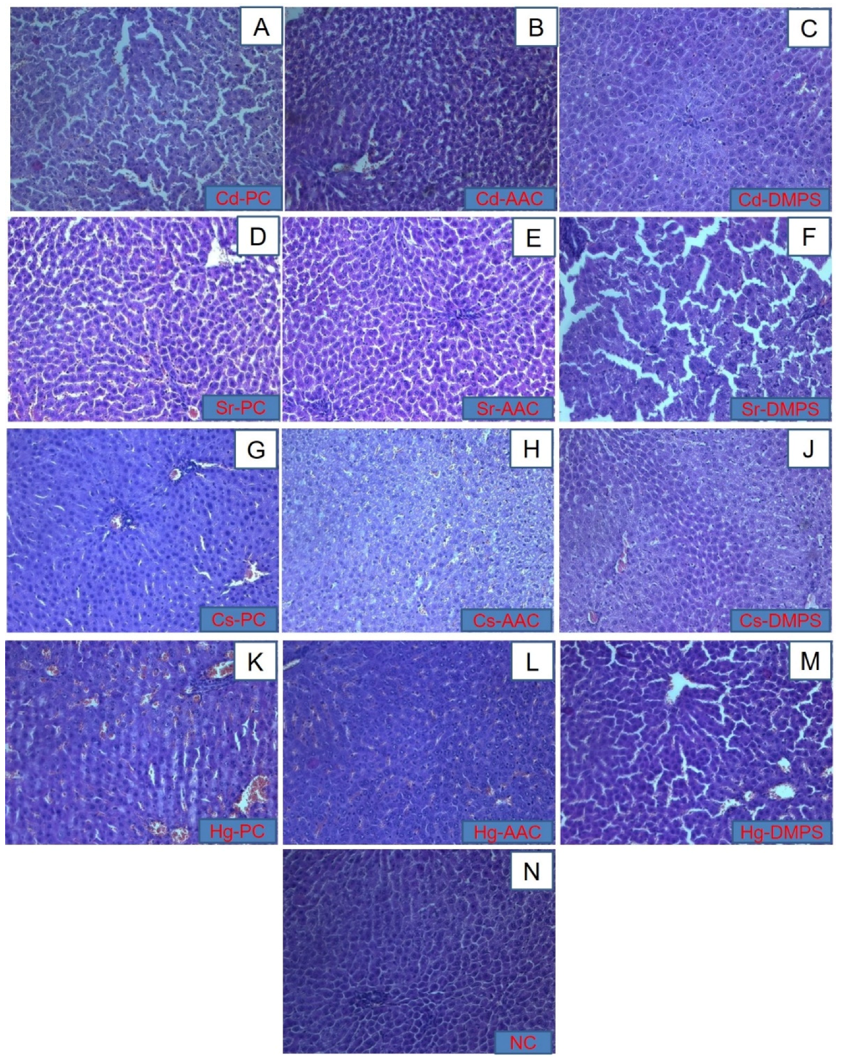 Molecules 26 07601 g003 Molecules 26 07601 g003