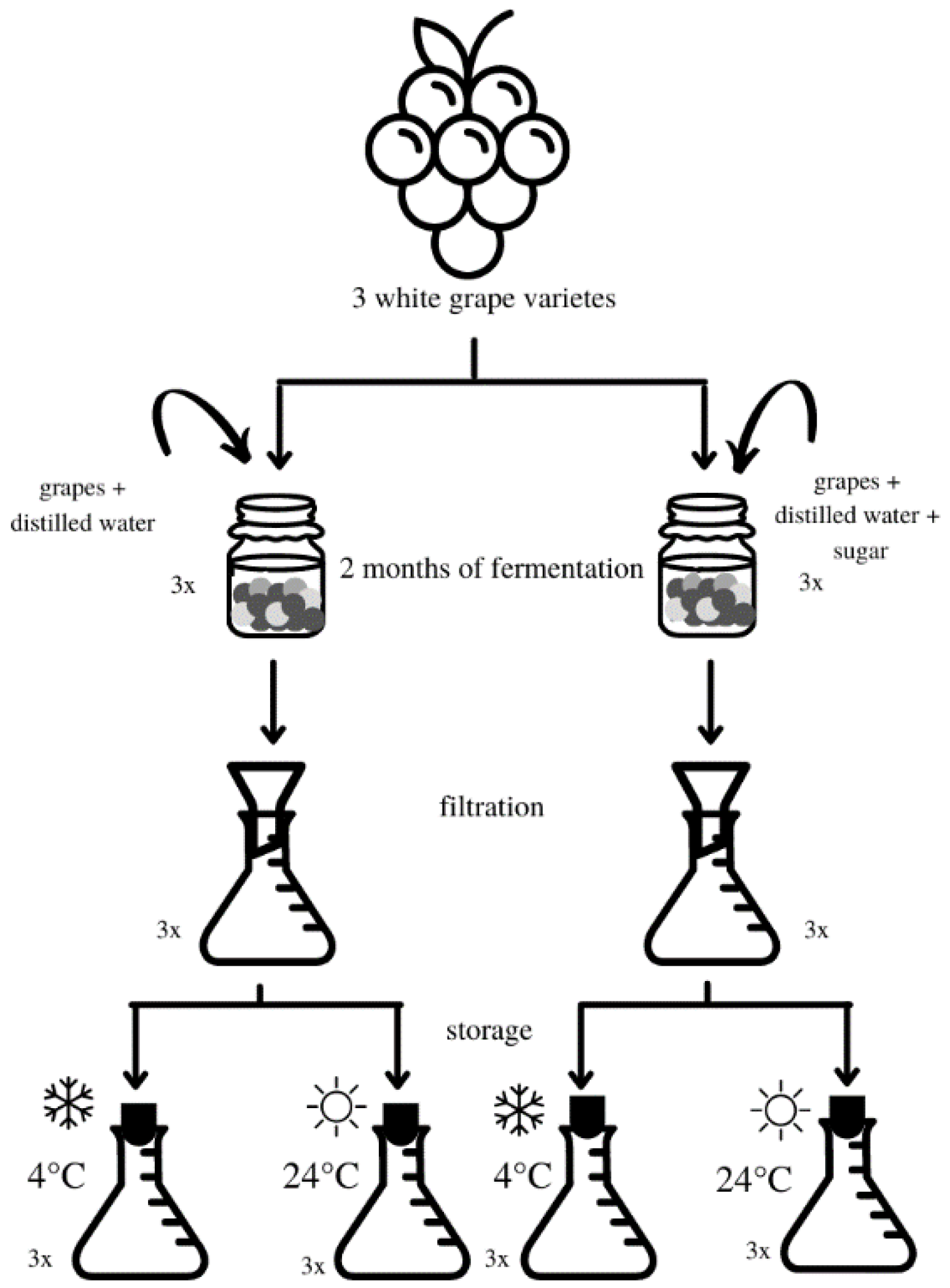 Molecules 26 07616 g003