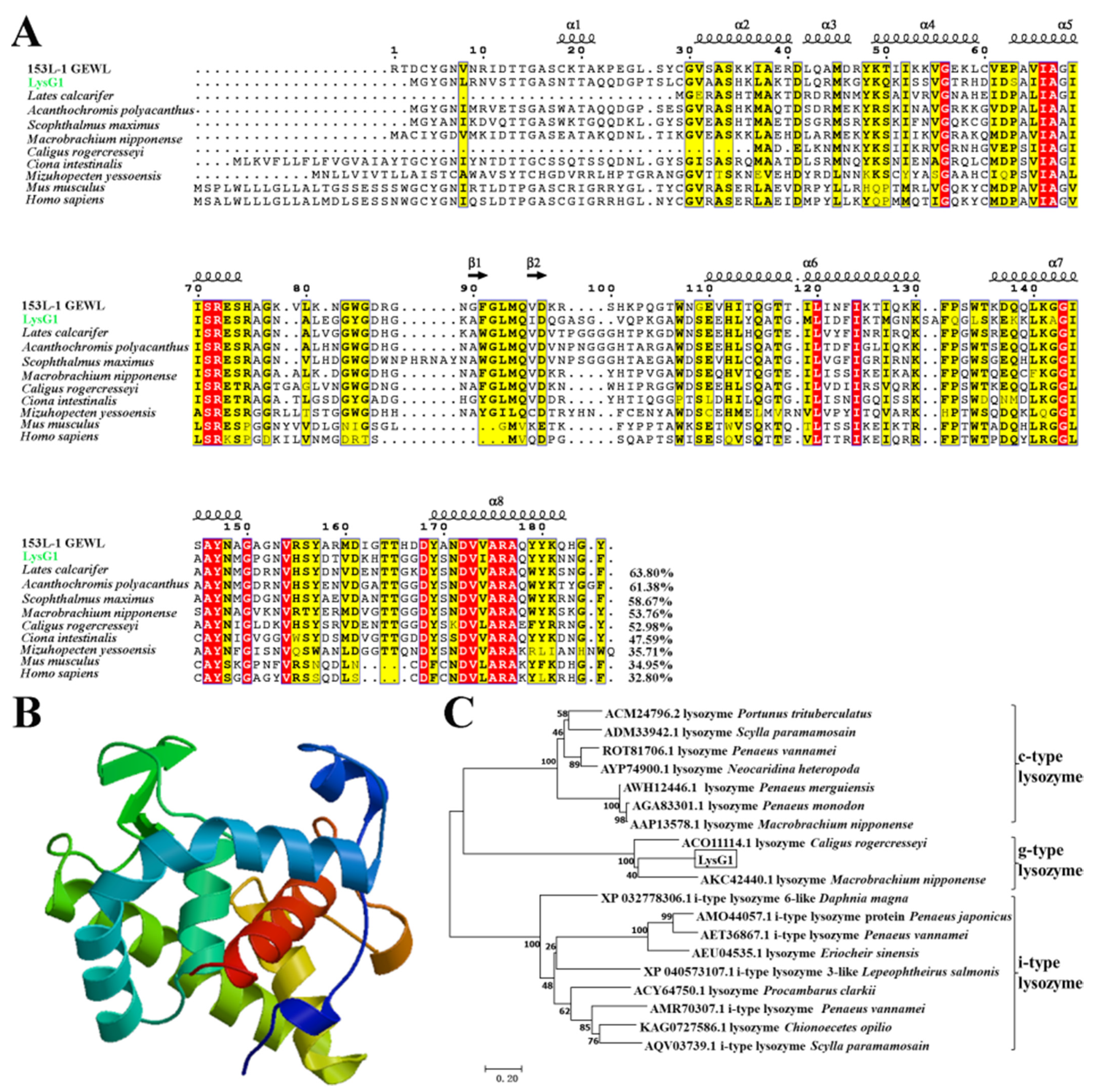 Molecules 26 07624 g001