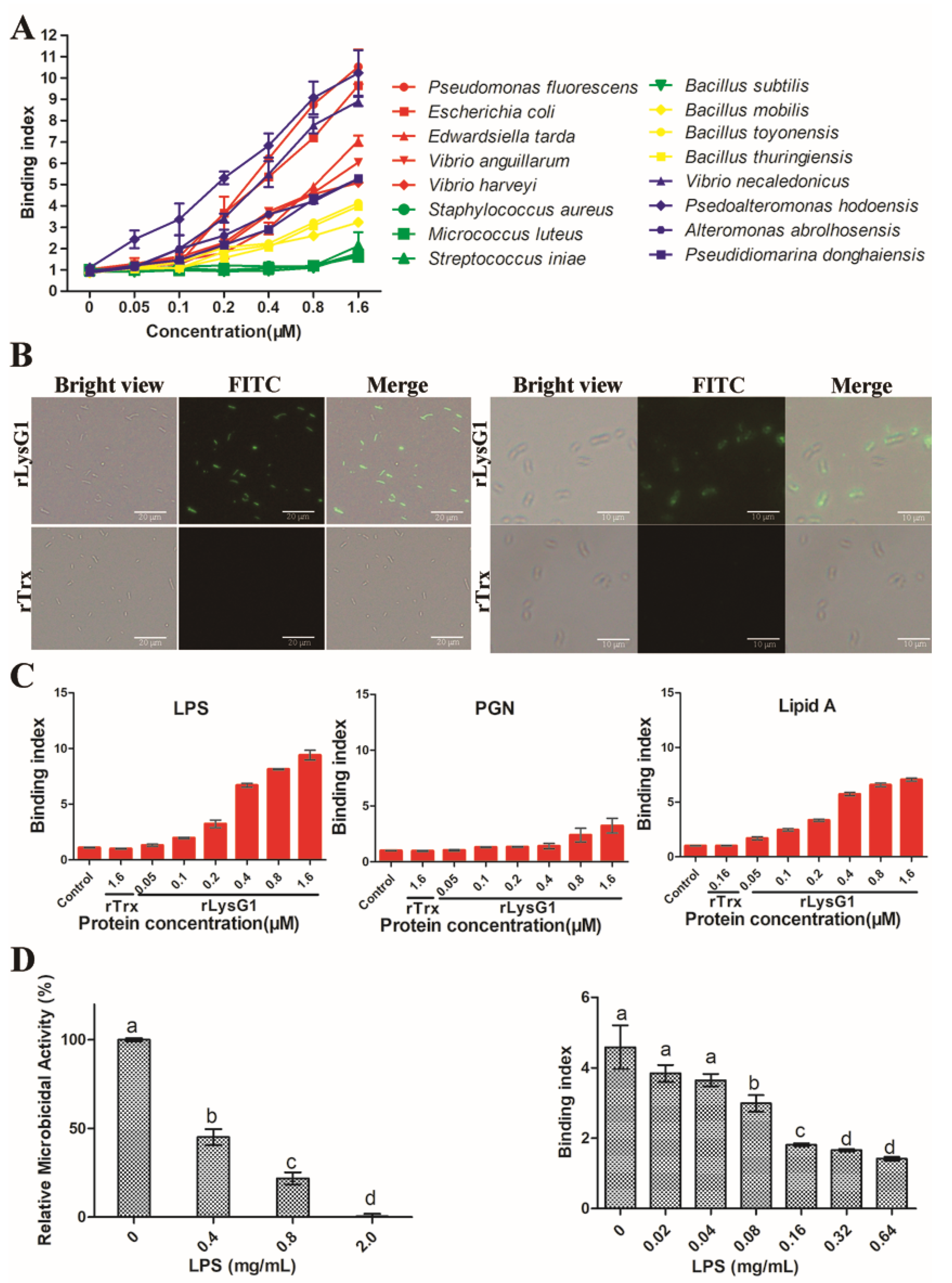 Molecules 26 07624 g003