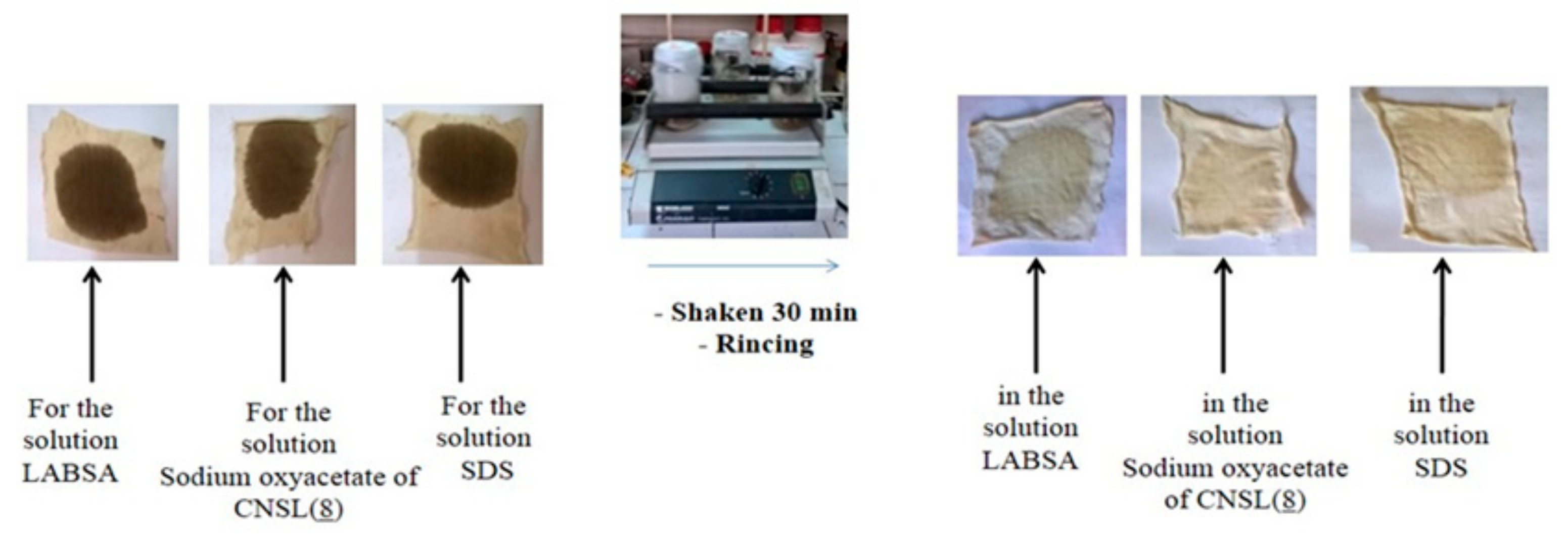 Molecules 26 07625 g004