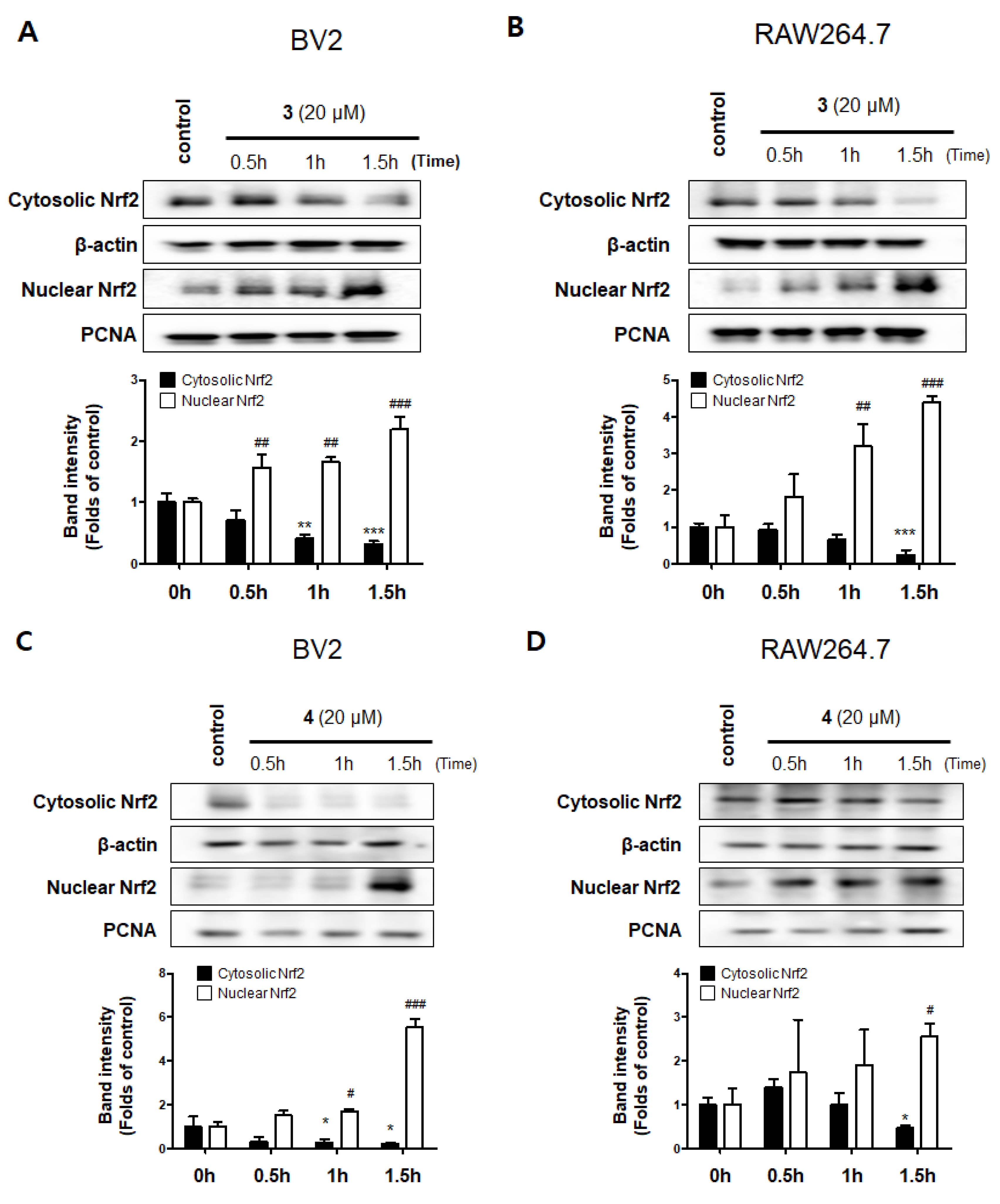 Molecules 26 07642 g008