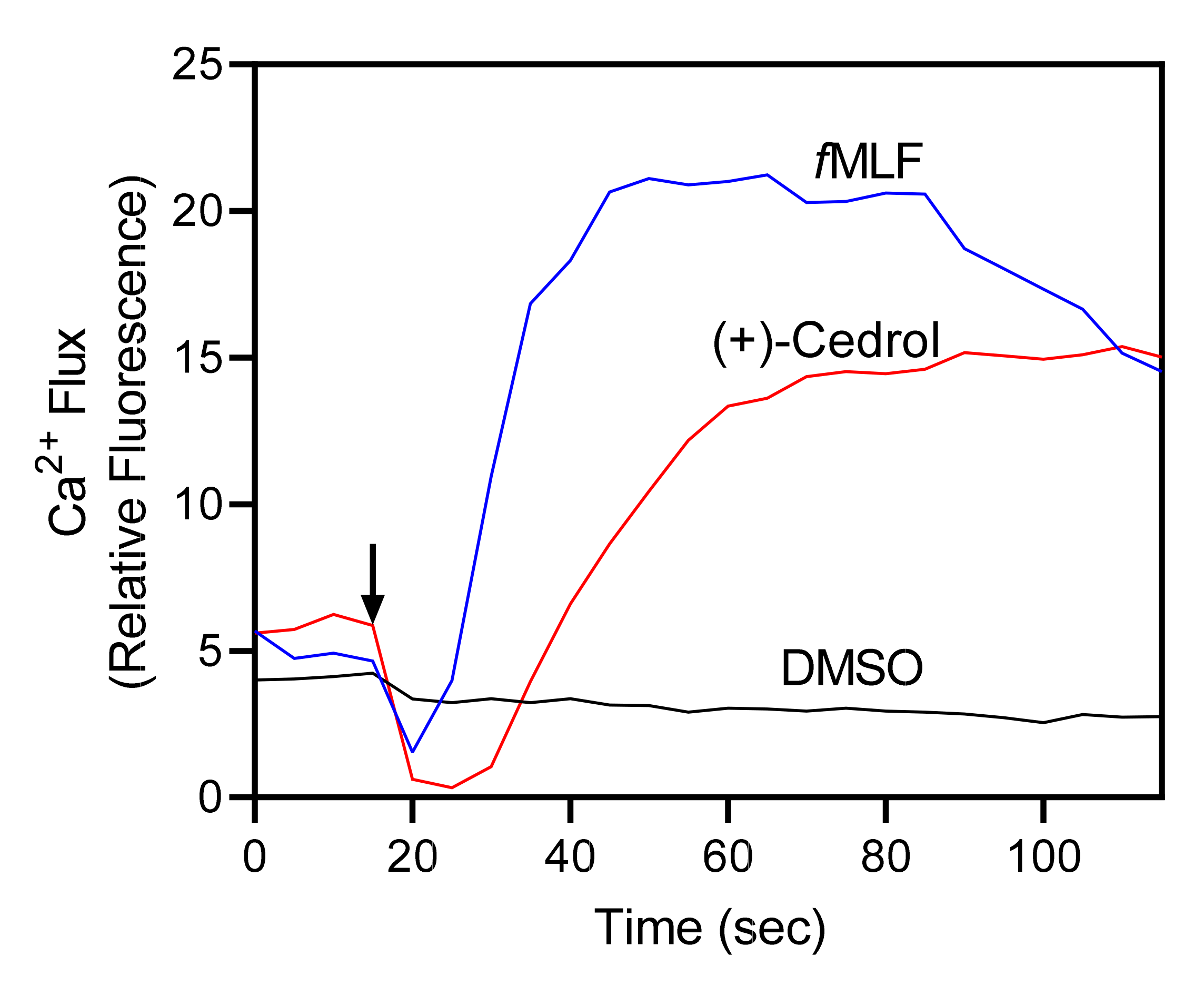 Molecules 26 07644 g001